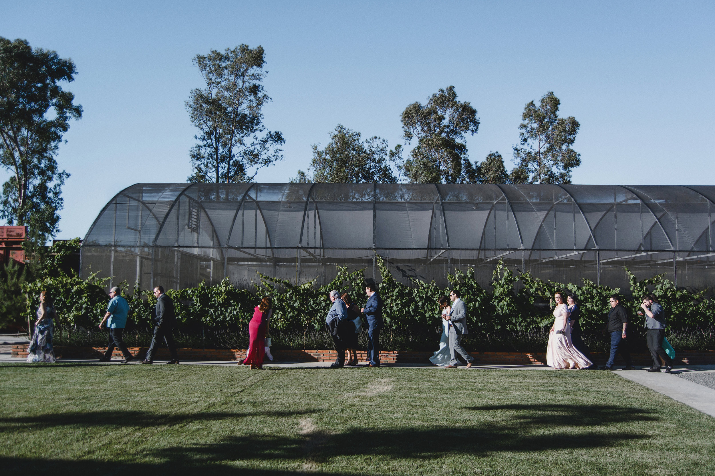 Layla+JJ Wedding (413).jpg