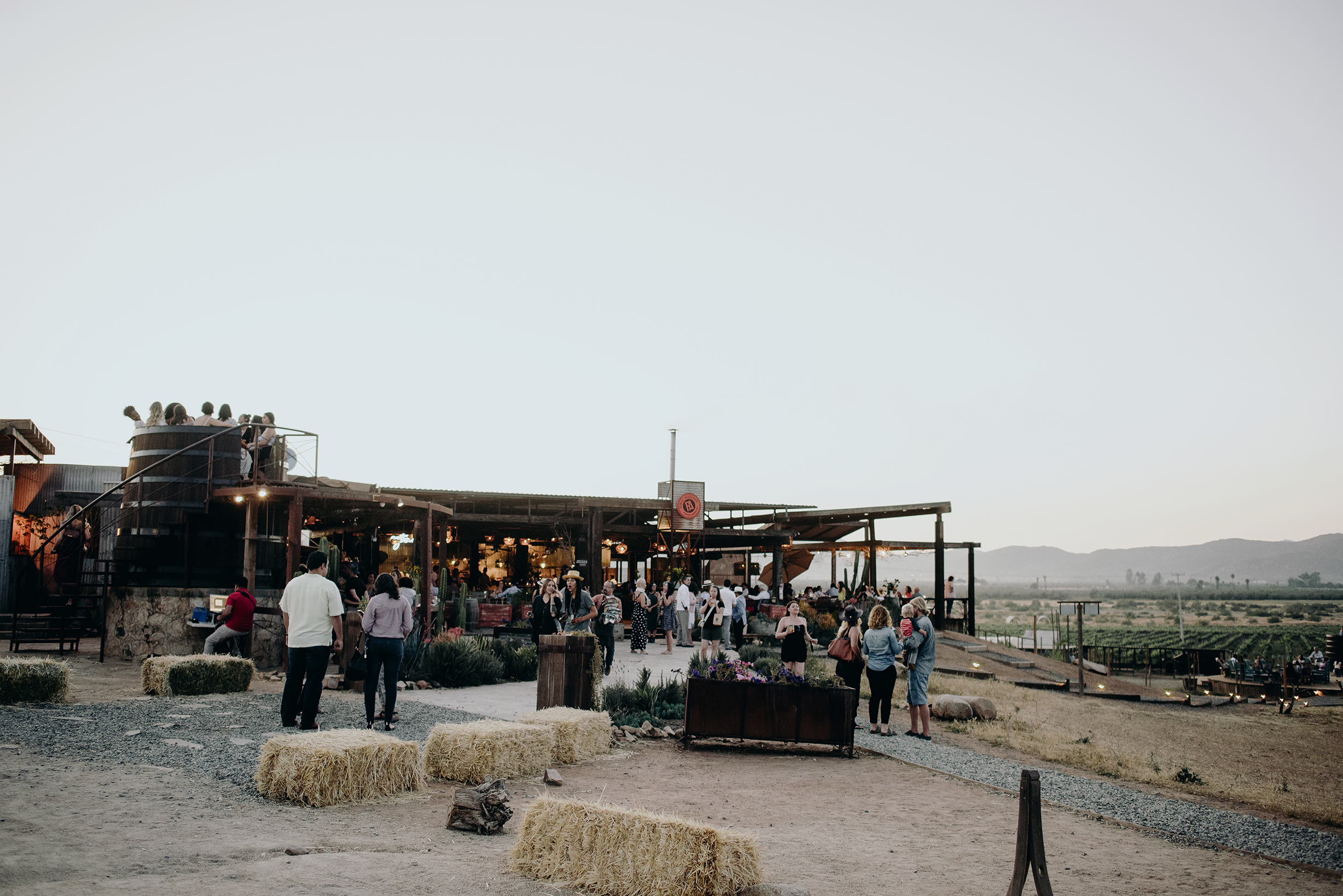 Alli+Lea Wedding-15.jpg