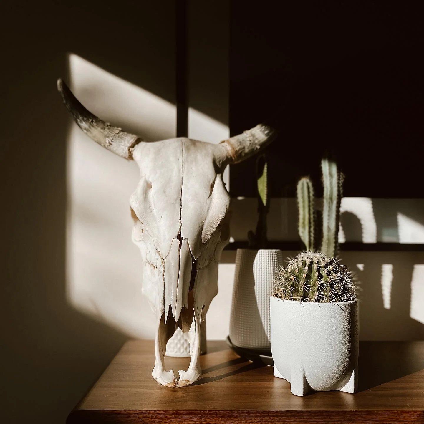 Cabo Wedding Photographer | Destination Wedding Photographer