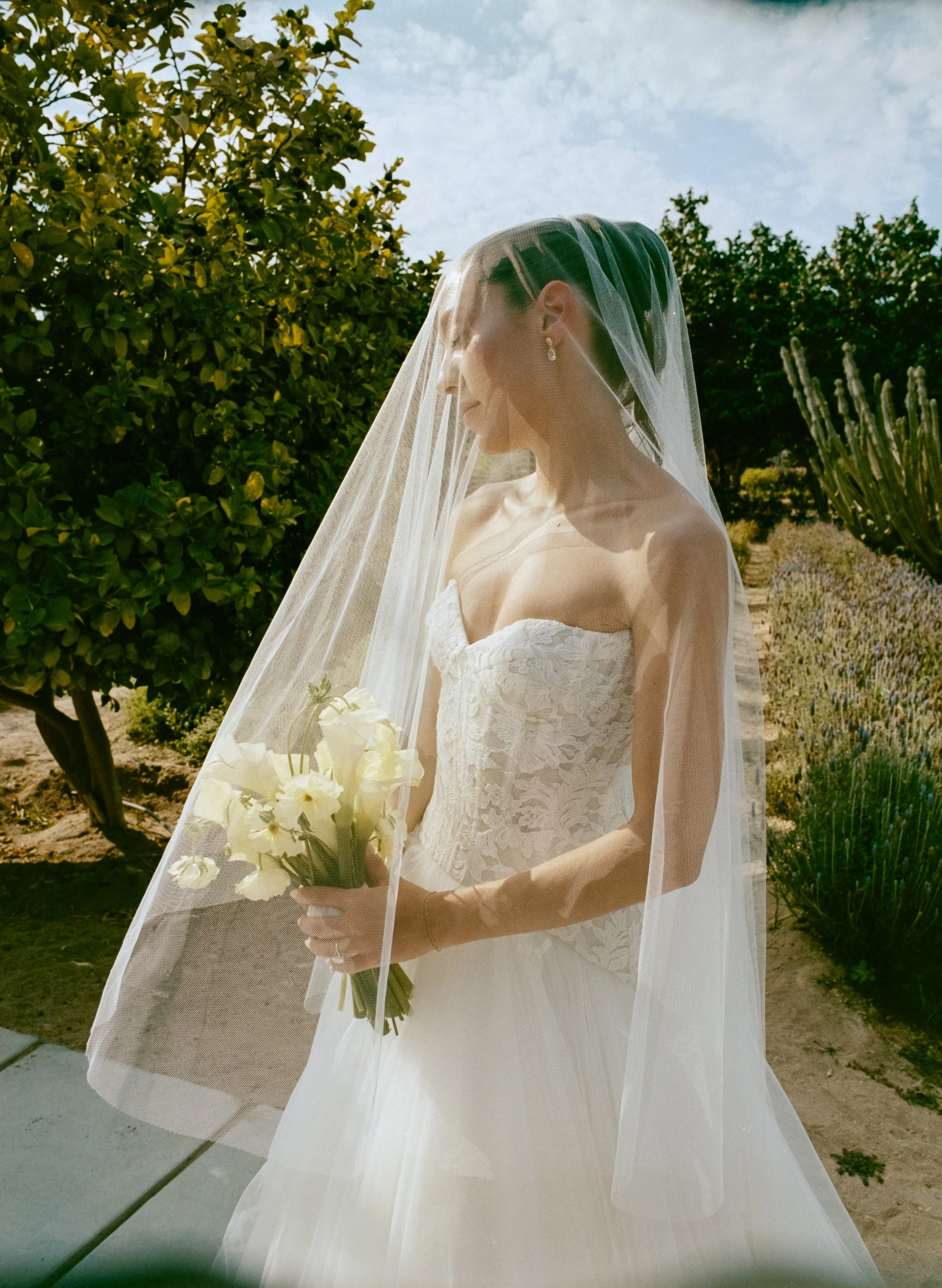 Danielle+Jeff's Film Photos - 63.jpg