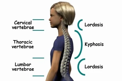 lordosis-kyphosis-best-of-normal-spinal-curves-of-lordosis-kyphosis.jpg