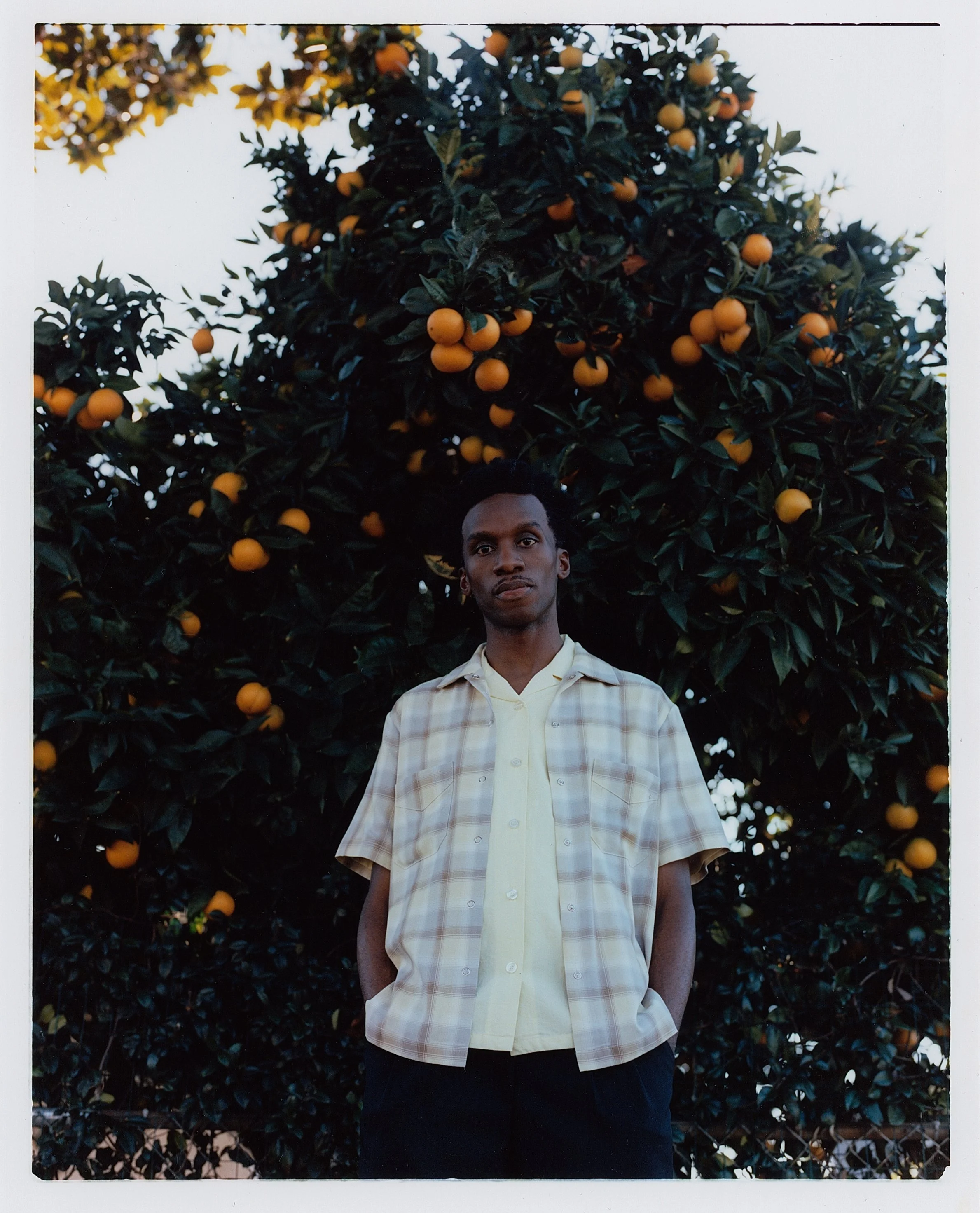 SANFORD YELLOW  (5).jpg