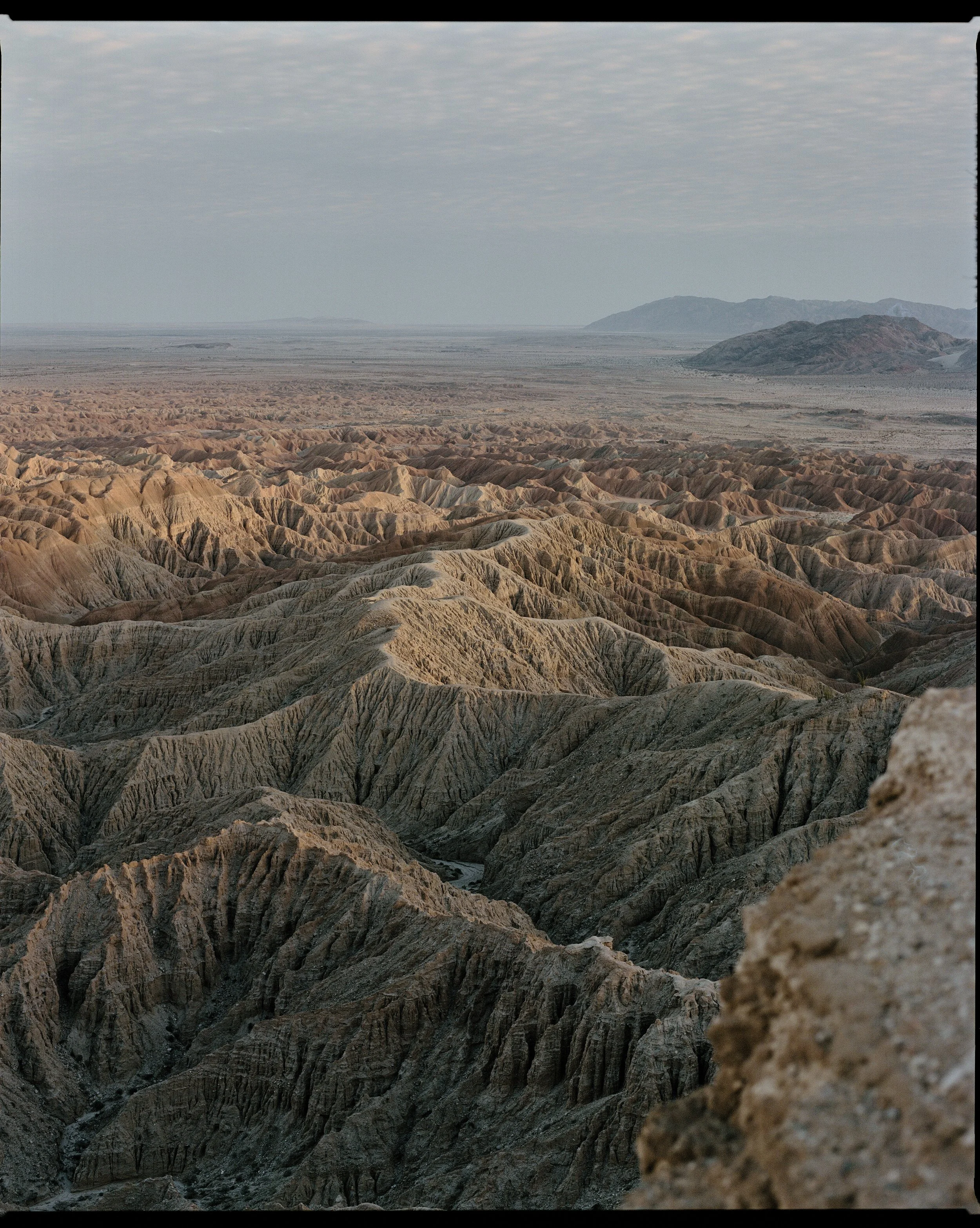 260111015315030001 1.jpg