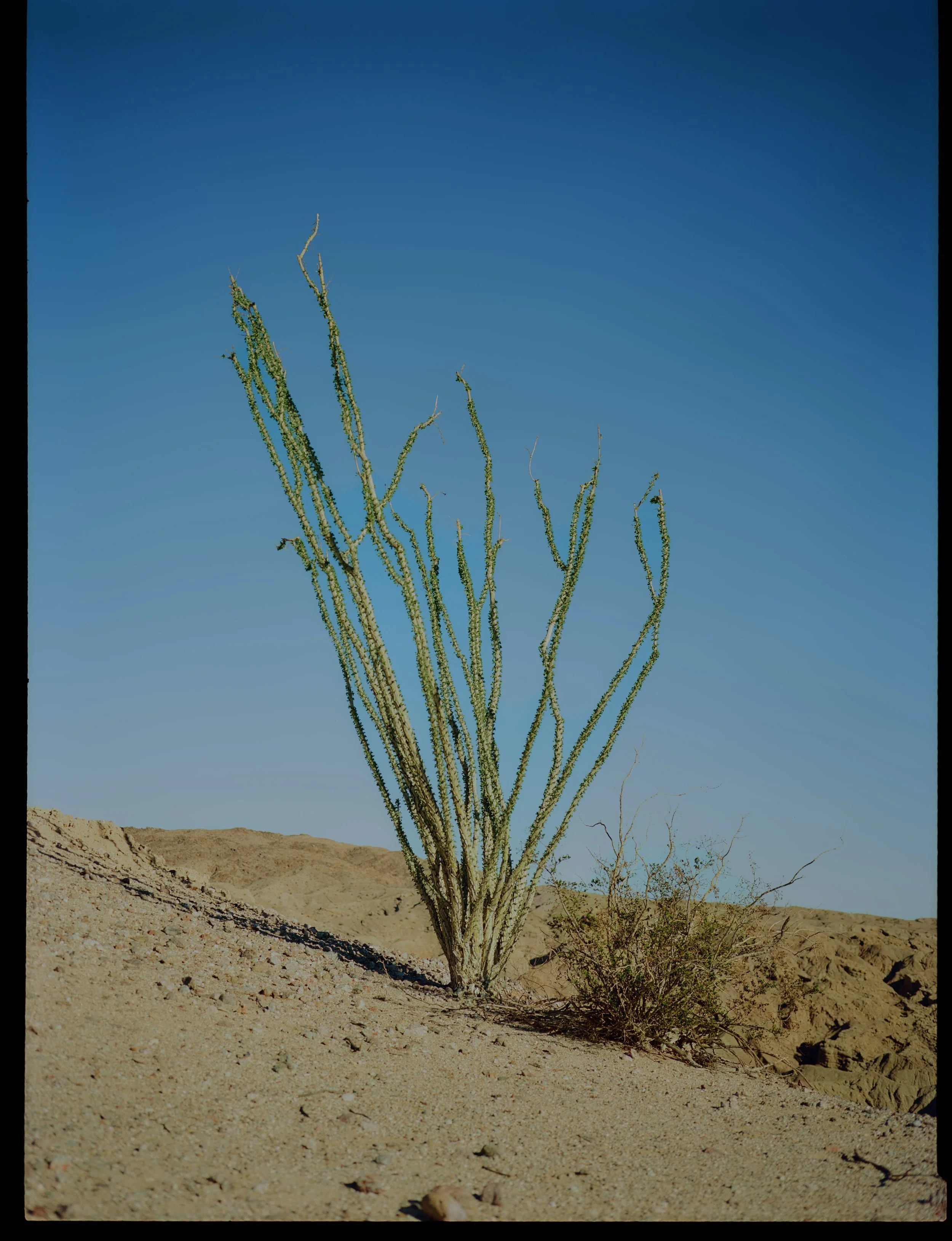 260111015315060008 1 1.jpg