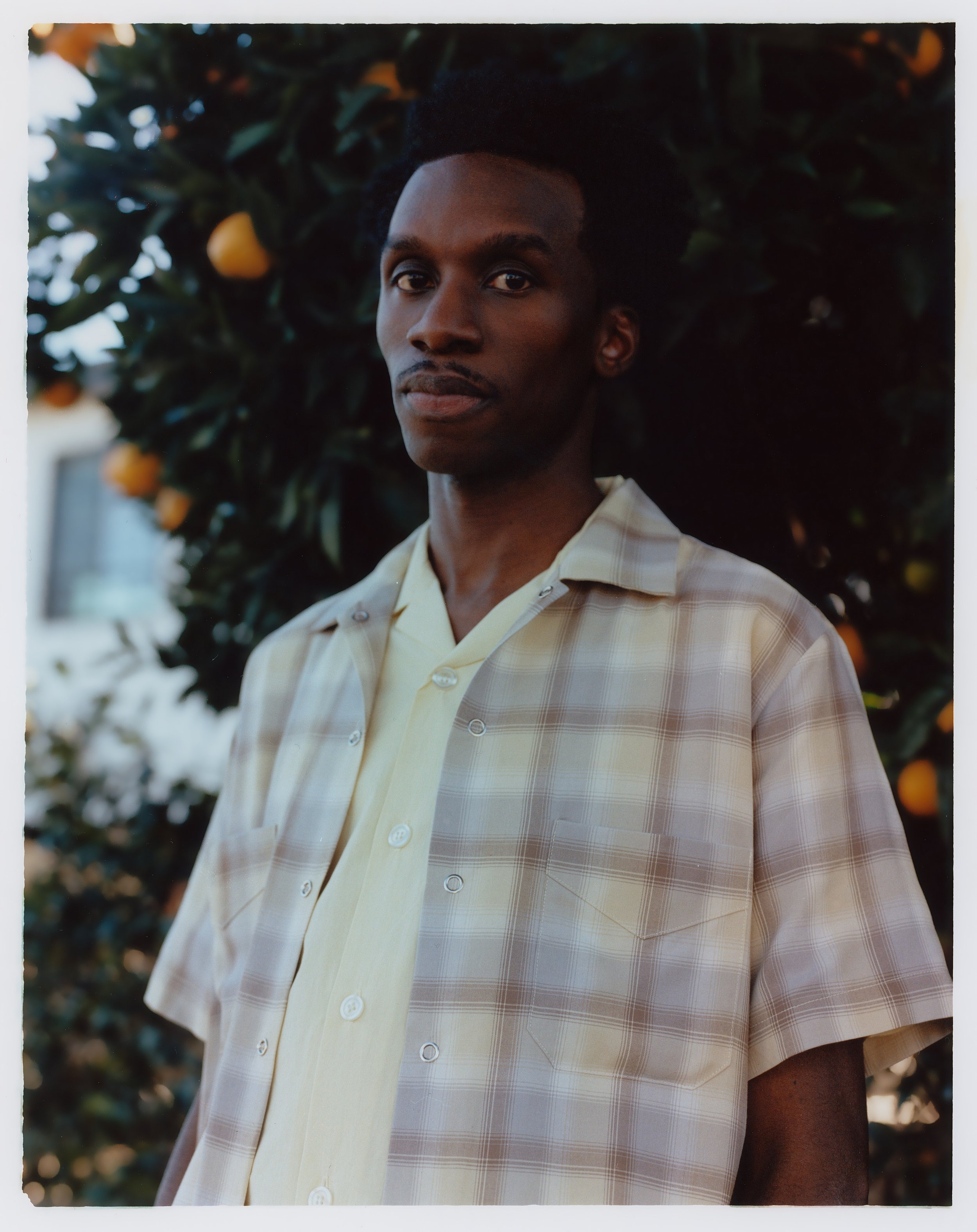 SANFORD YELLOW_(2).jpg