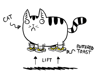 Кошка сливочное масло. Парадокс кошки с маслом. Парадокс кошки с маслом шуточный. Кошка Баттерс. Бутер Кэт.