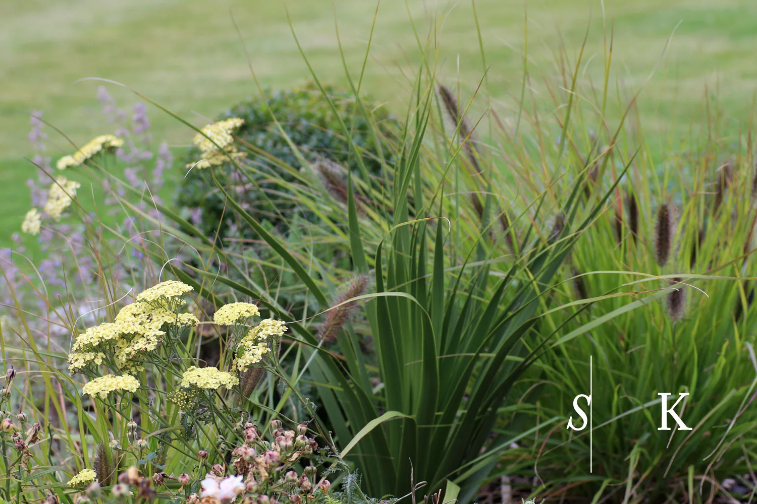 Cotswolds garden revamp