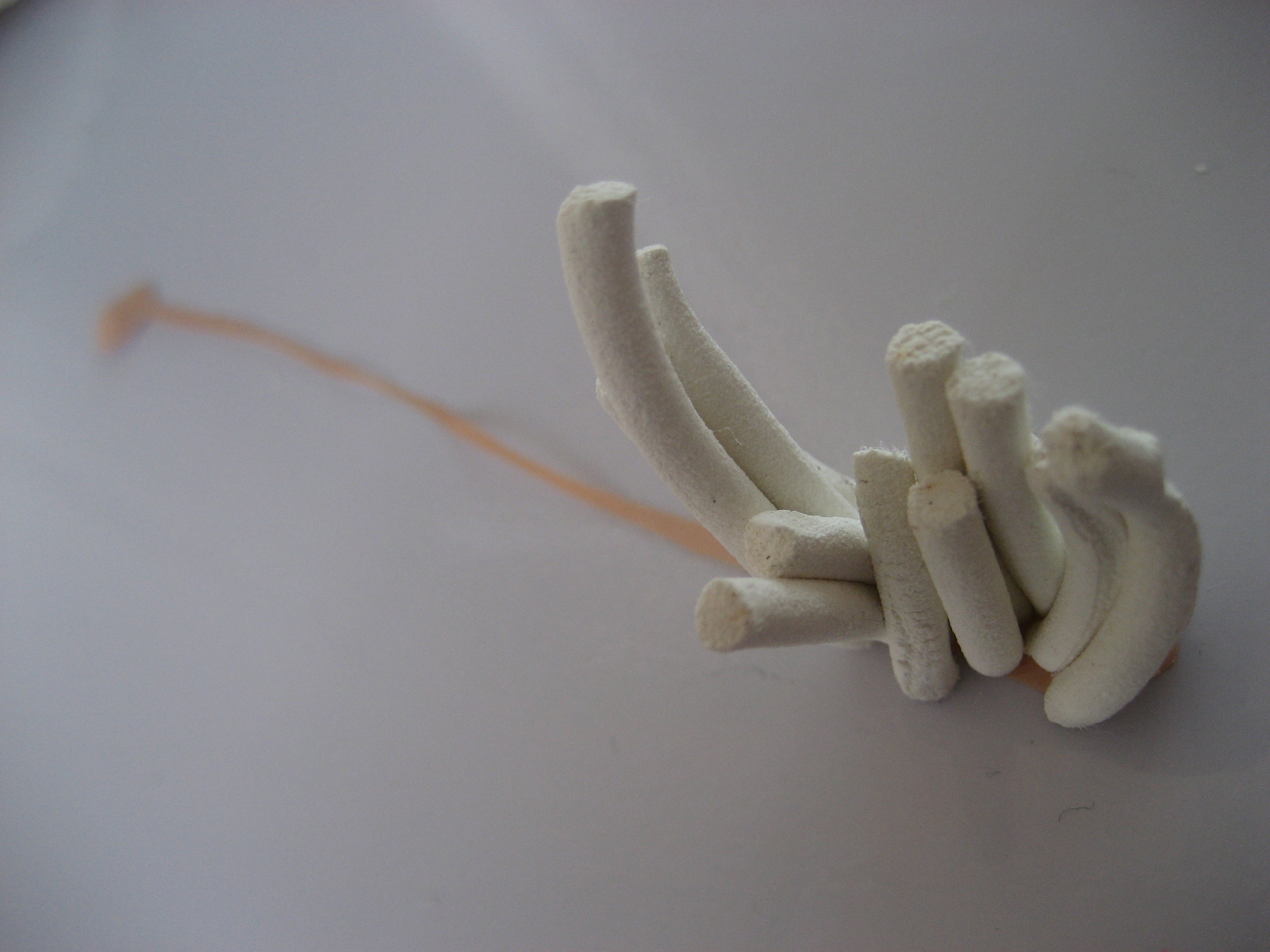  process: material composition 