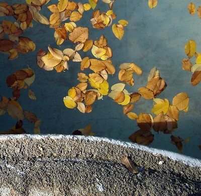 Save the date - höstens event / coming events this autumn