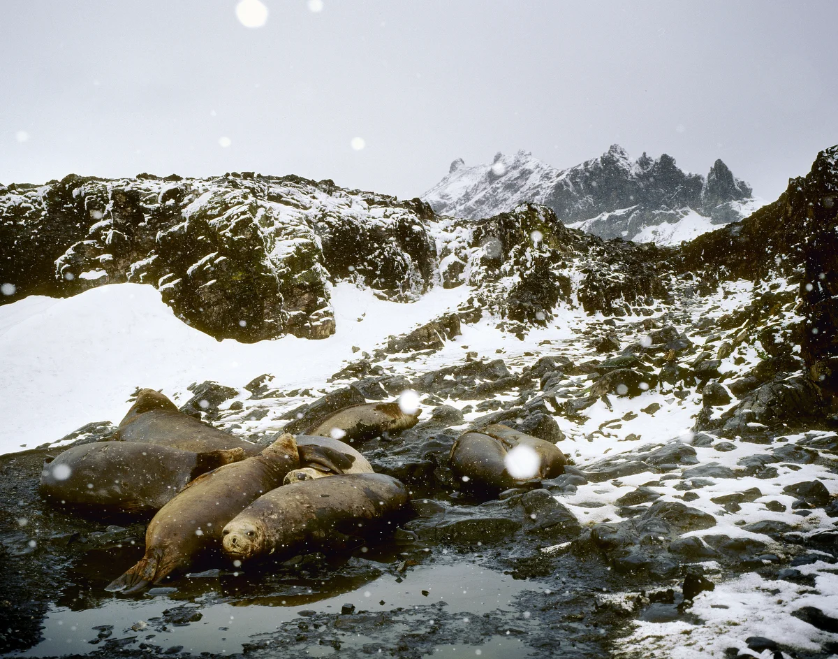 RKP-ANTARCTICA-37.jpg