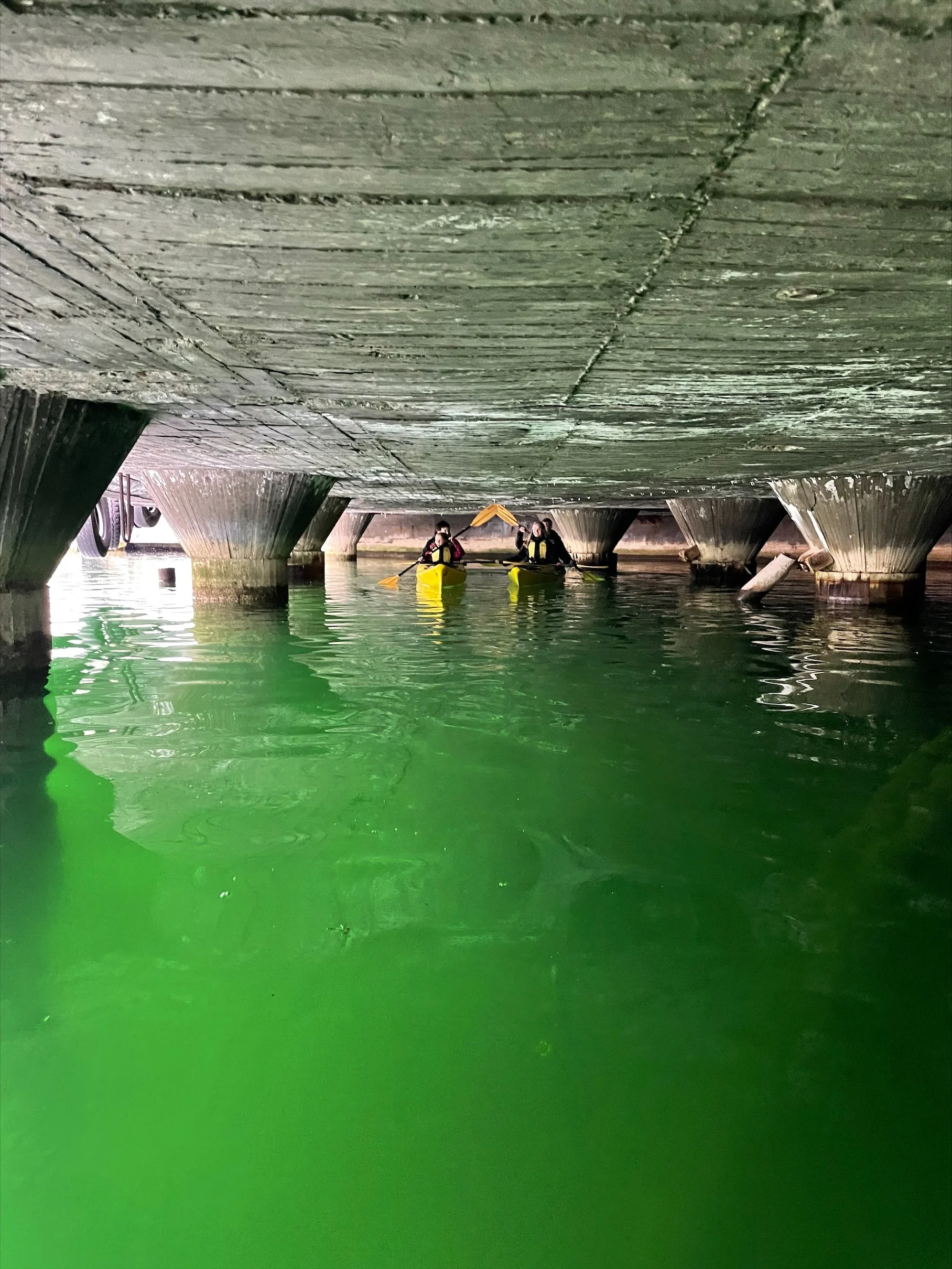 Heildags padletur på Lærdalsfjorden