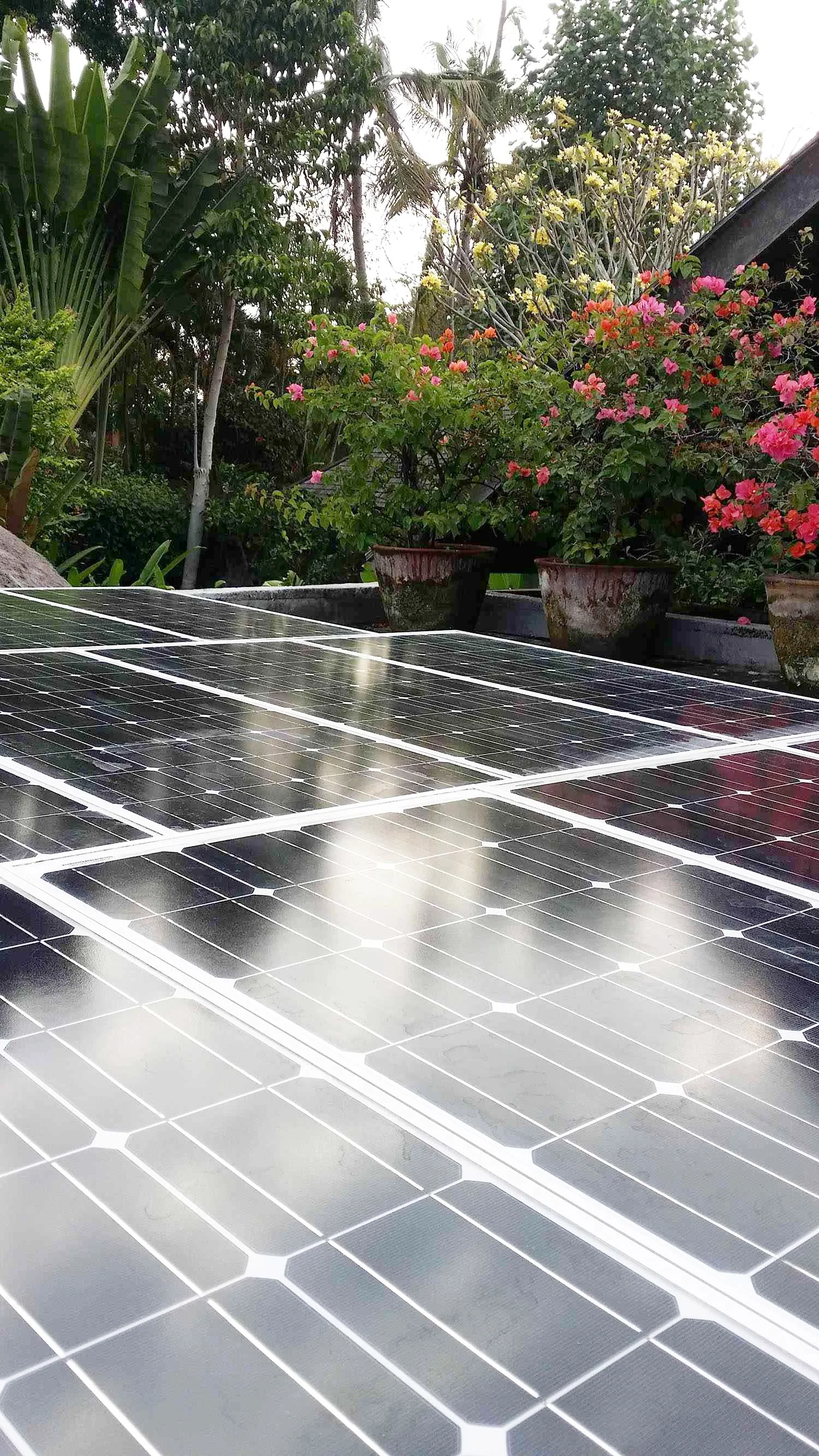 Ecology Solar Panels