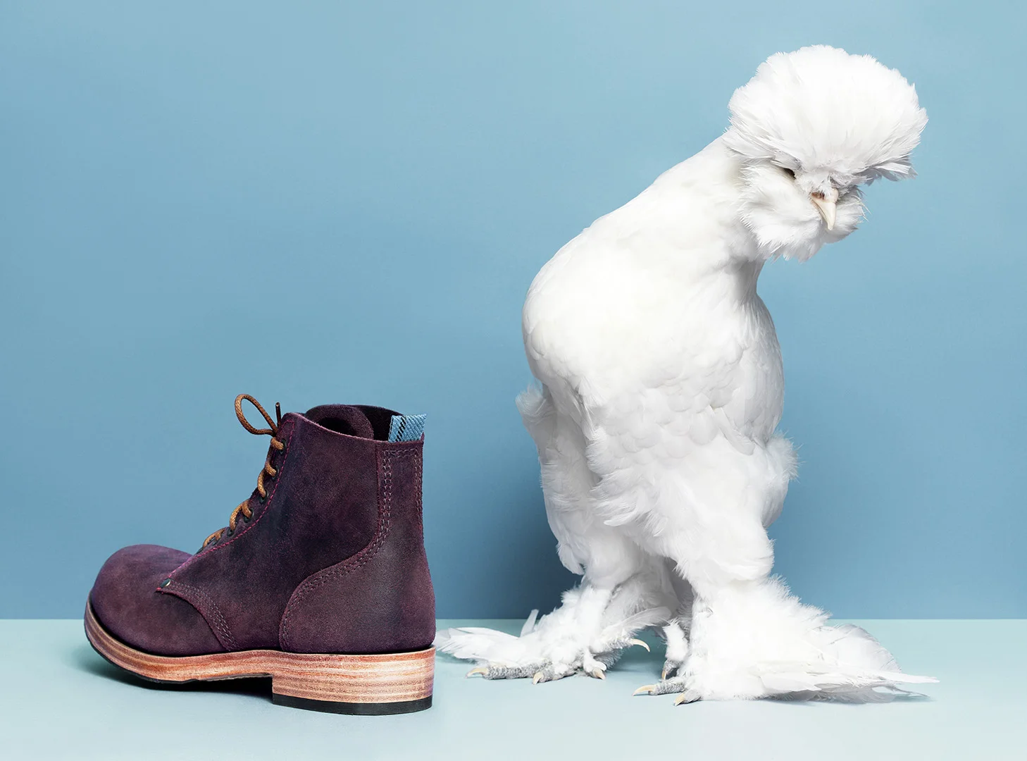 Dundas Footwear