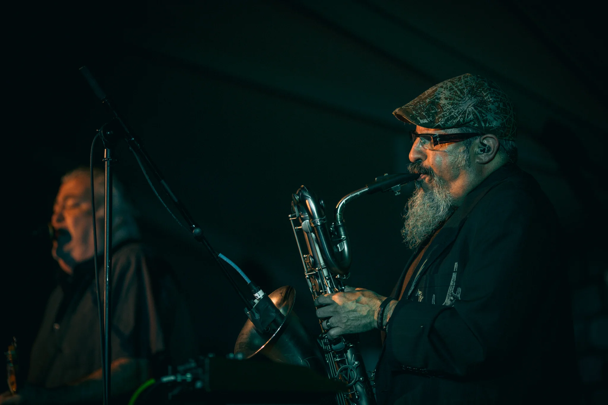 Los Lobos-217.jpg