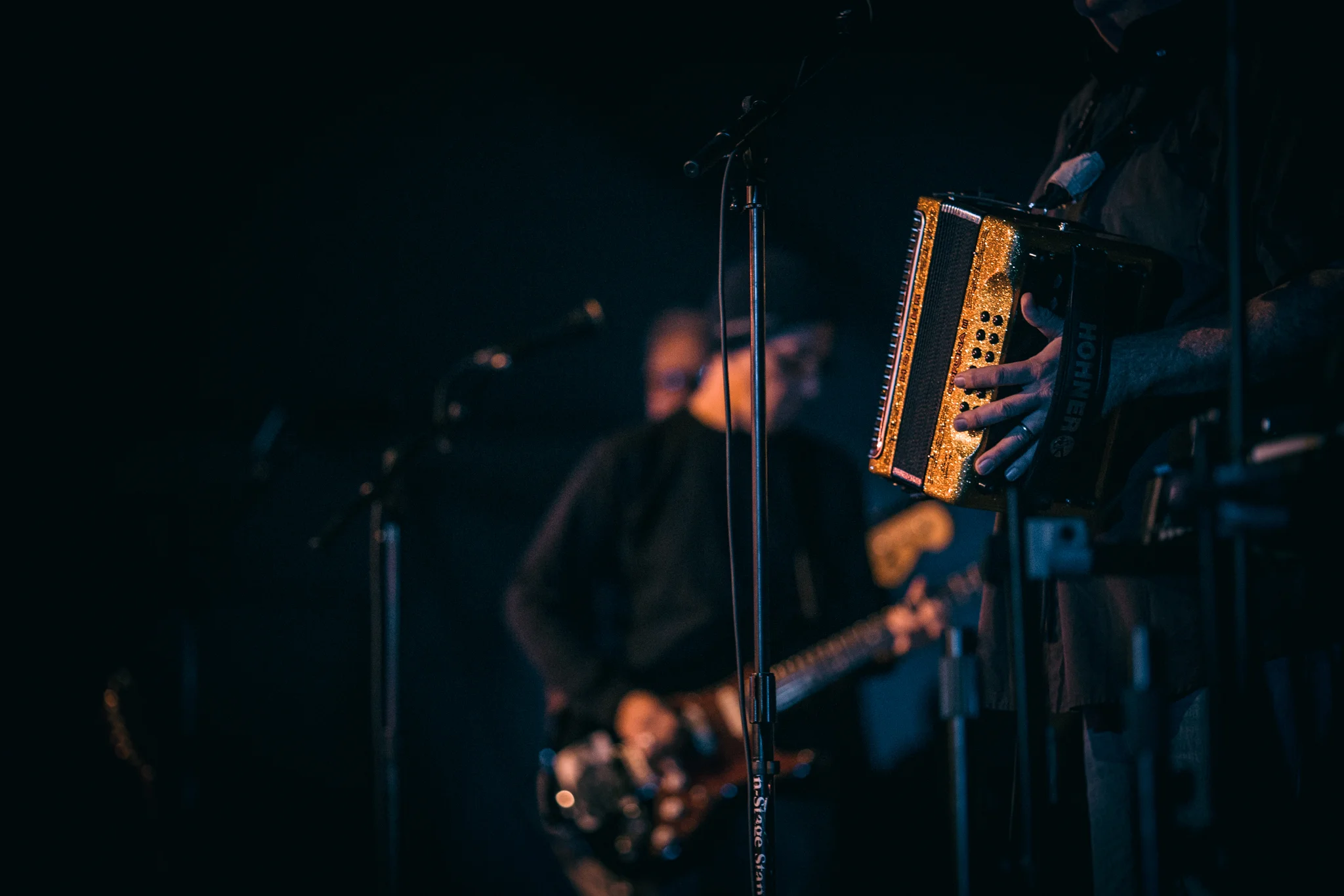 Los Lobos-238.jpg