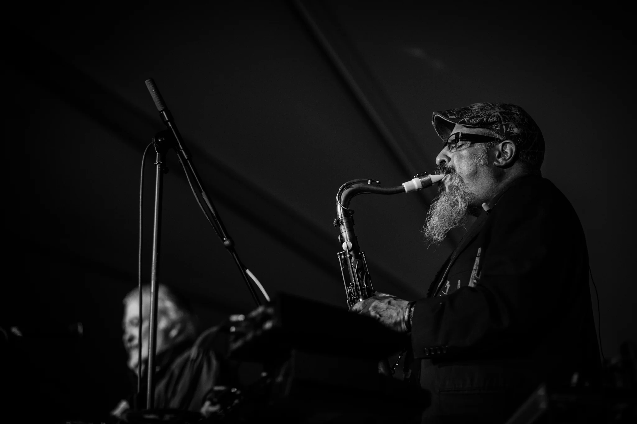 Los Lobos-244.jpg