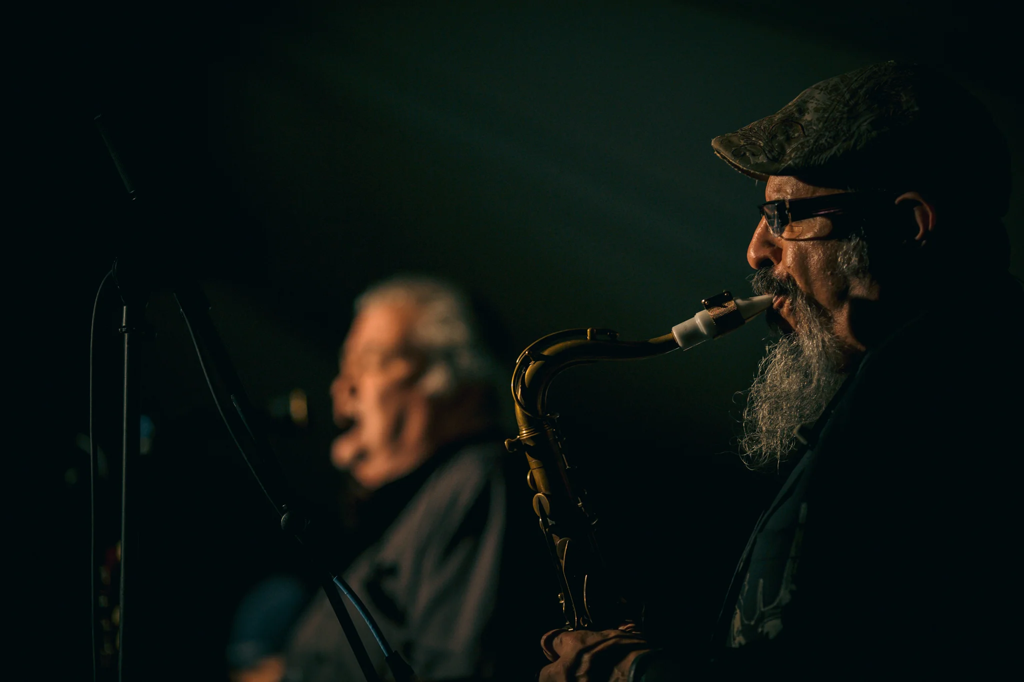 Los Lobos-255.jpg