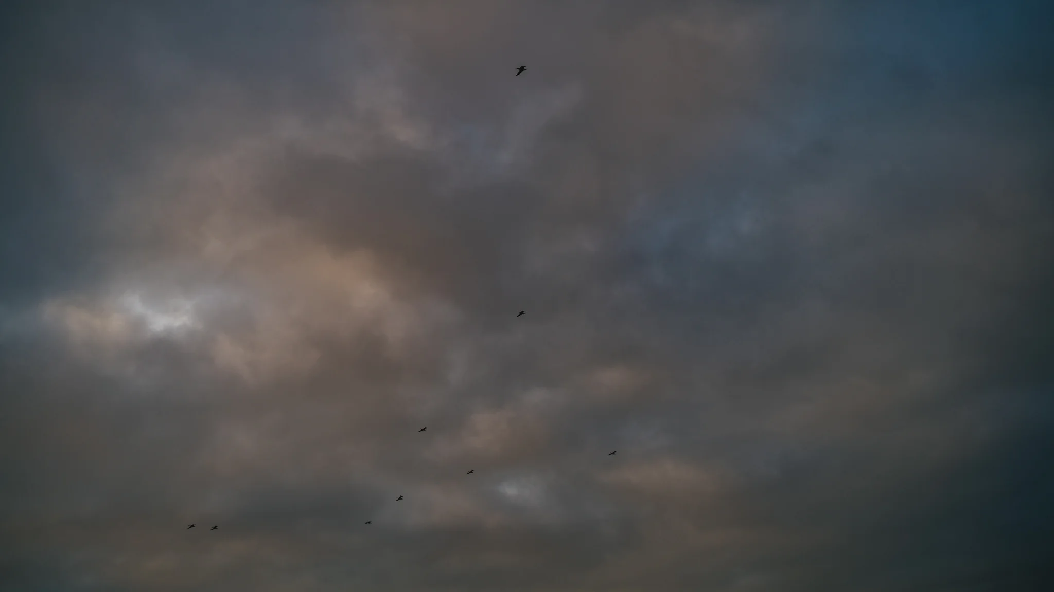 DSC05063.jpg