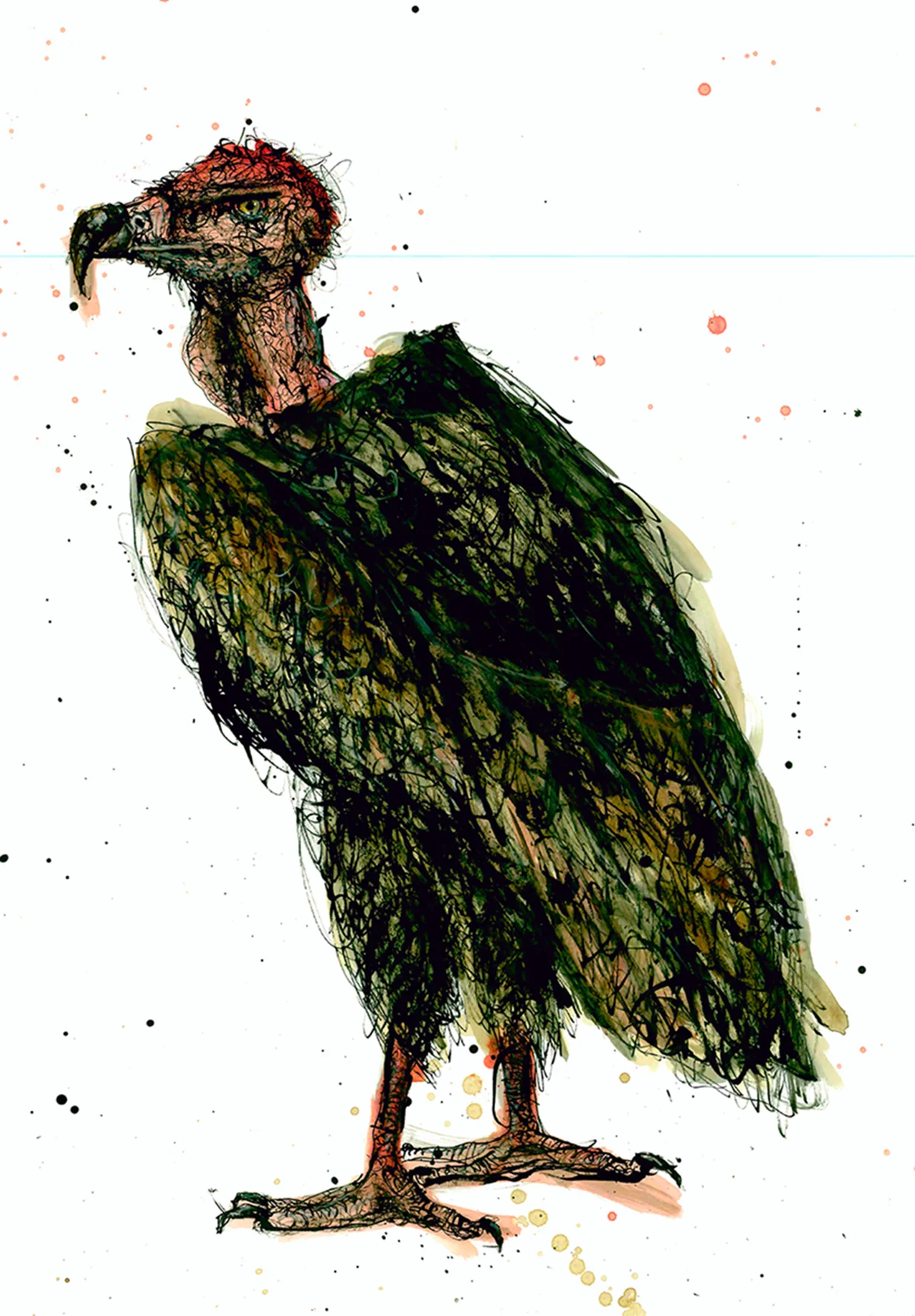 VultureArtFinder.jpg