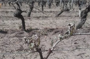 The aftermath in Saumur.