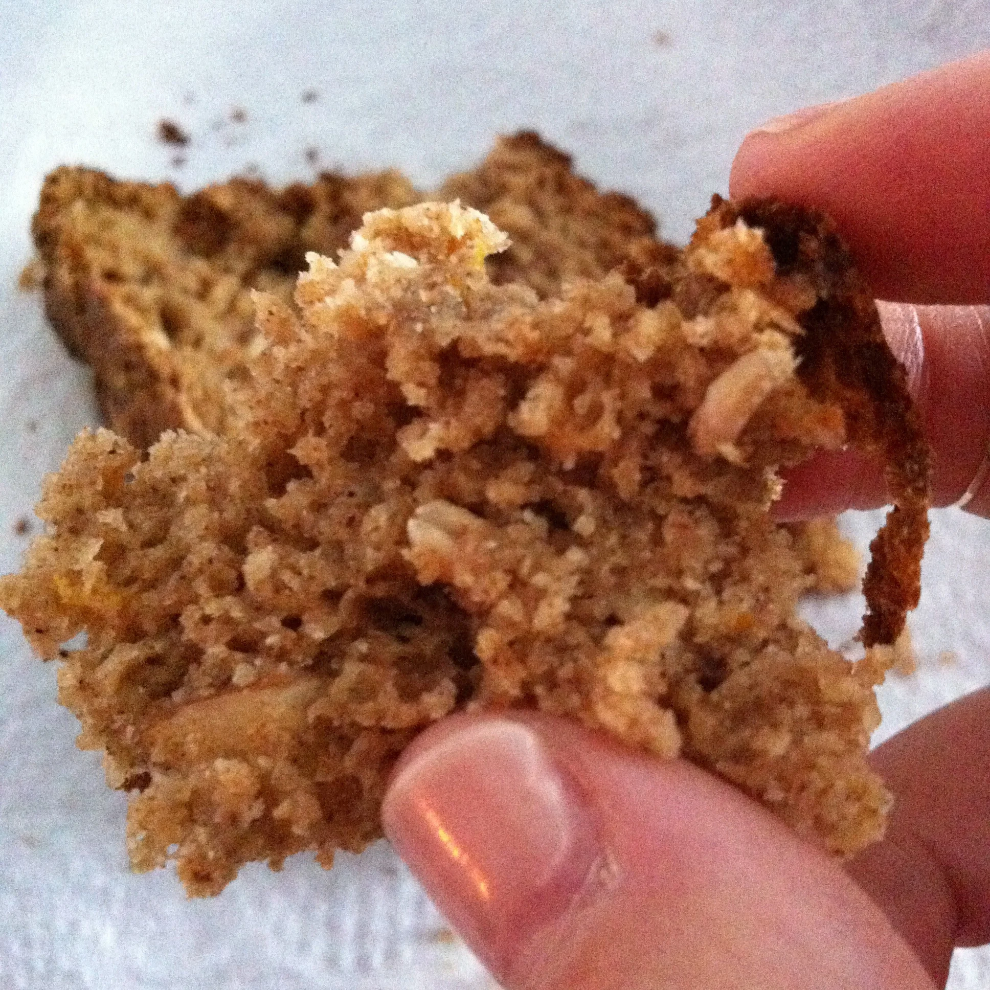 Baked Better awesomely easy breads!