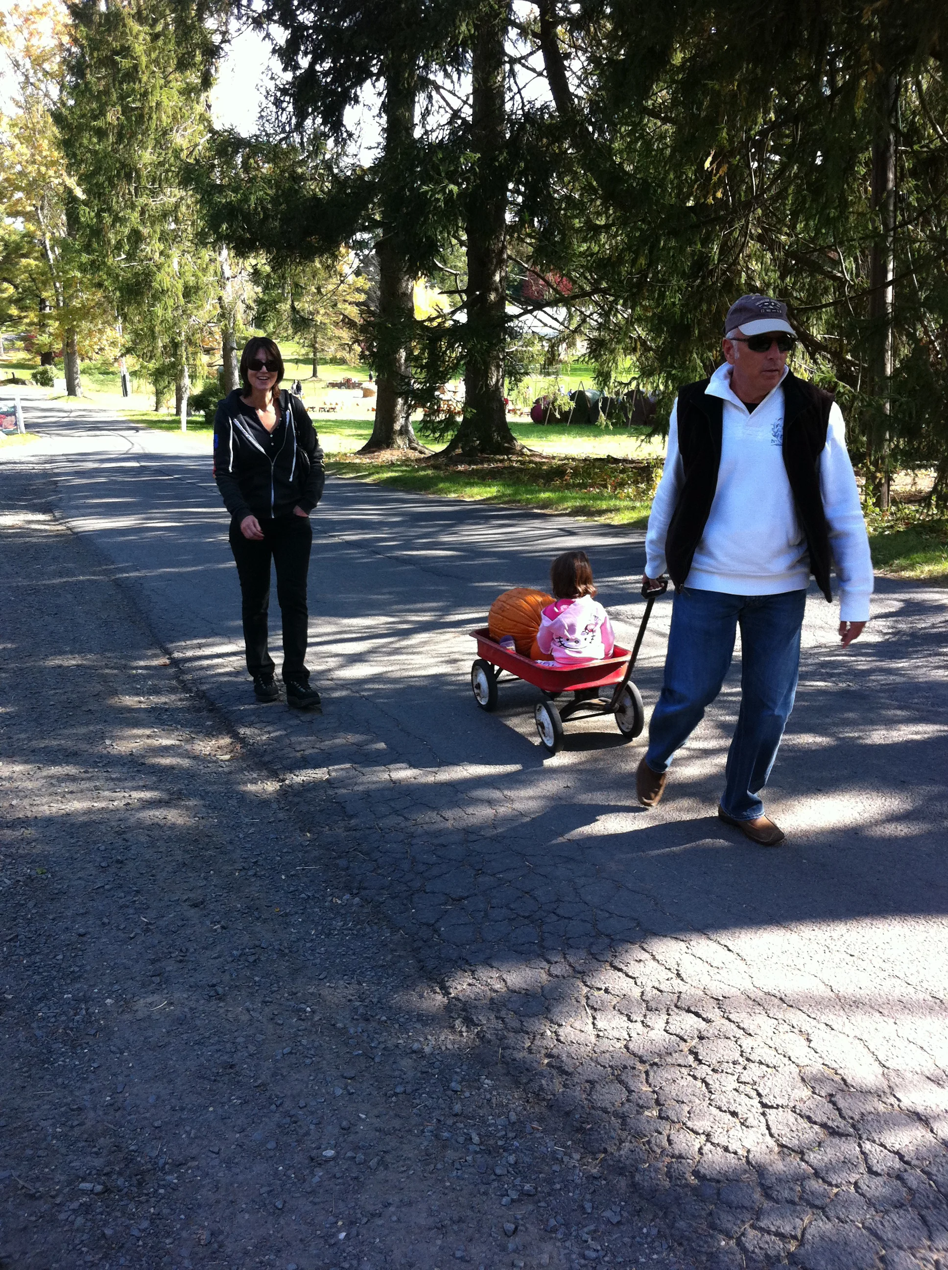 Fall Traditions: Pumpkin Carving!