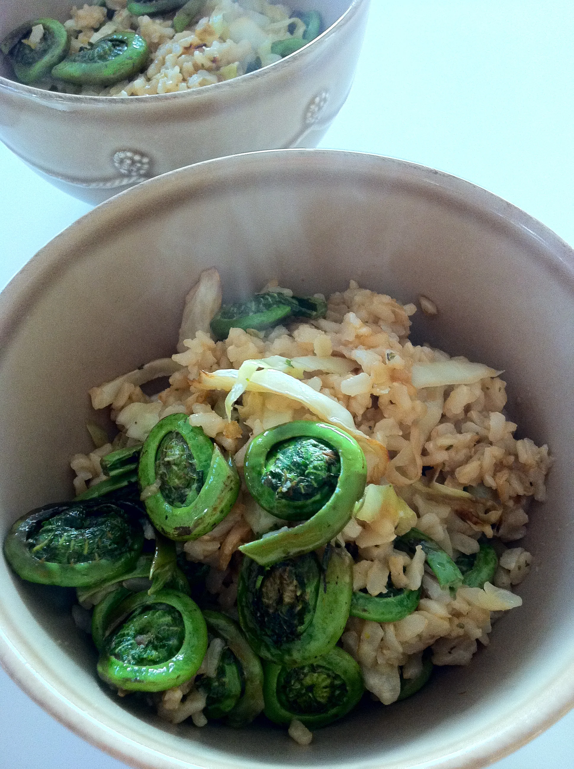Fiddlehead Fried Rice