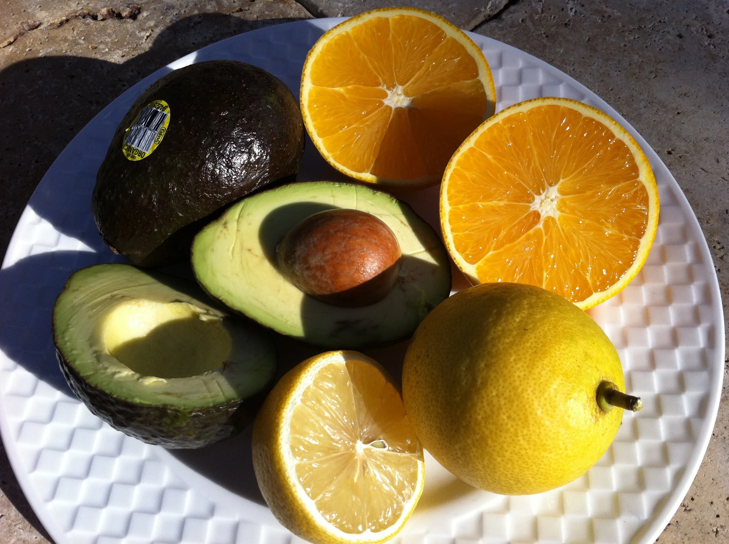 Florida Oranges, Avocados, and Lemons Oh My
