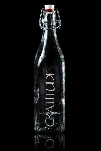 Guest Post AND Giveaway(!): Rachael Honowitz