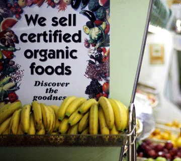 Guest Post: Bret Freedman