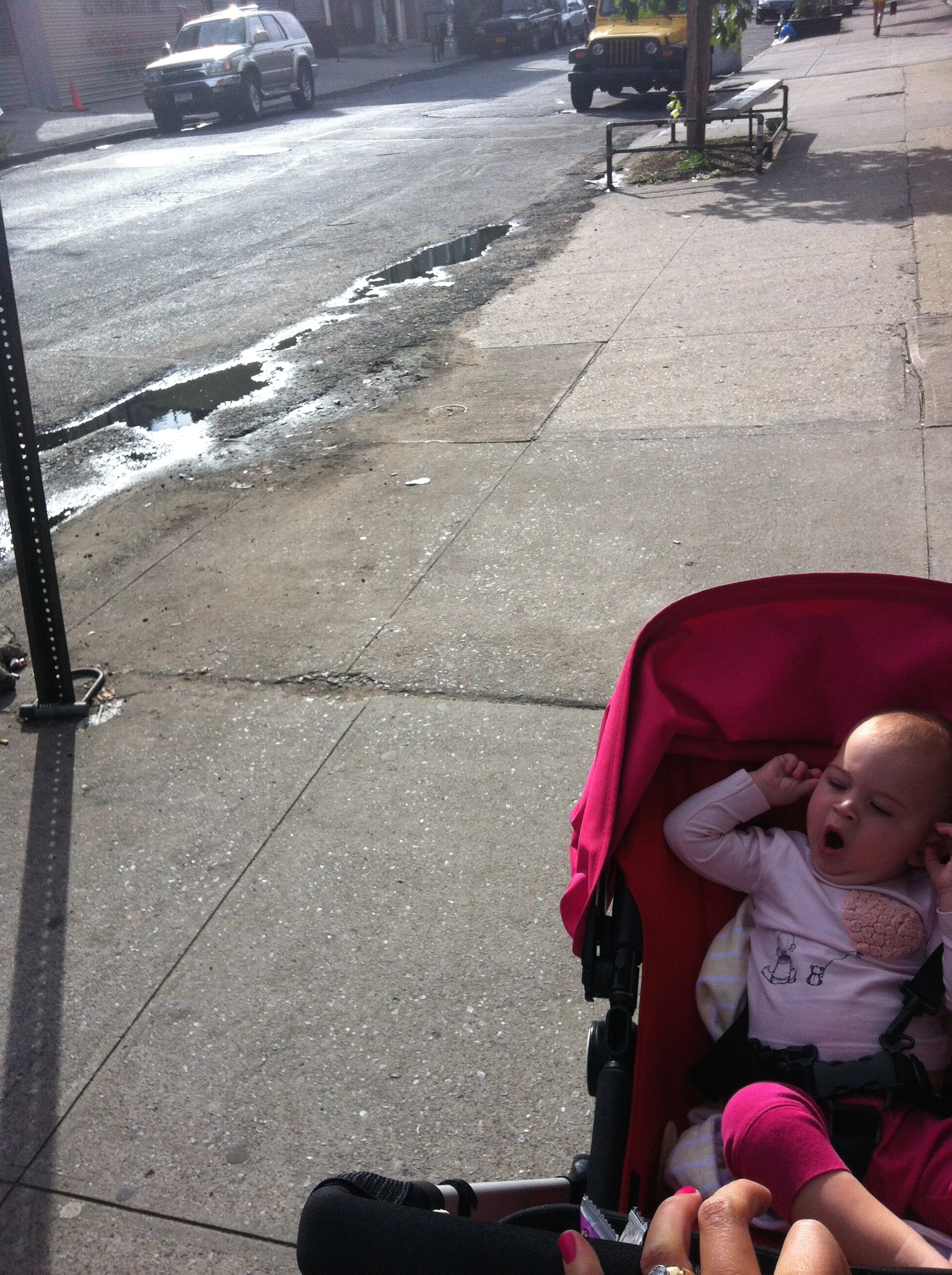 Happy Friday: Week in Review