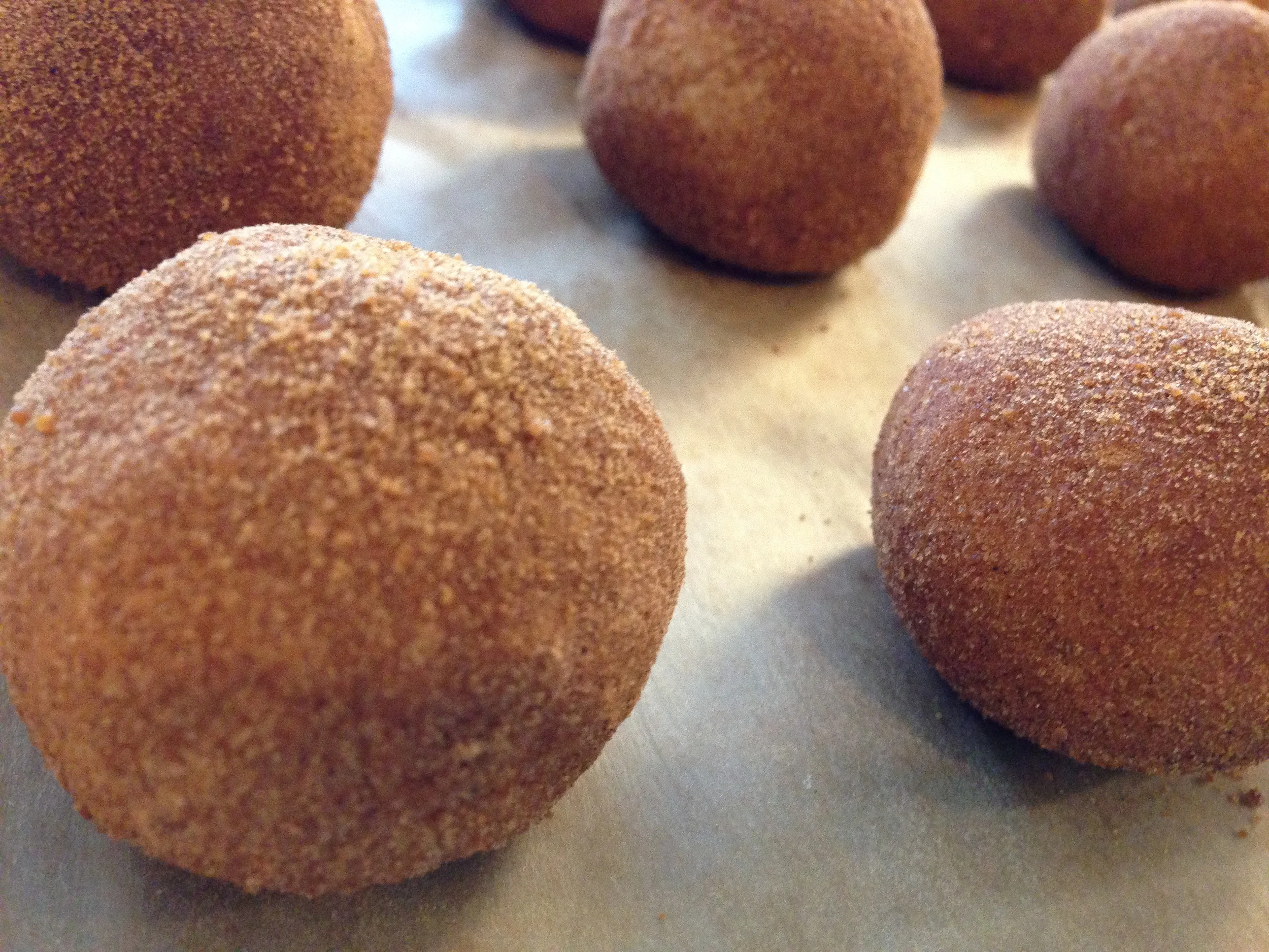 Raw Cinnamon Donut Holes