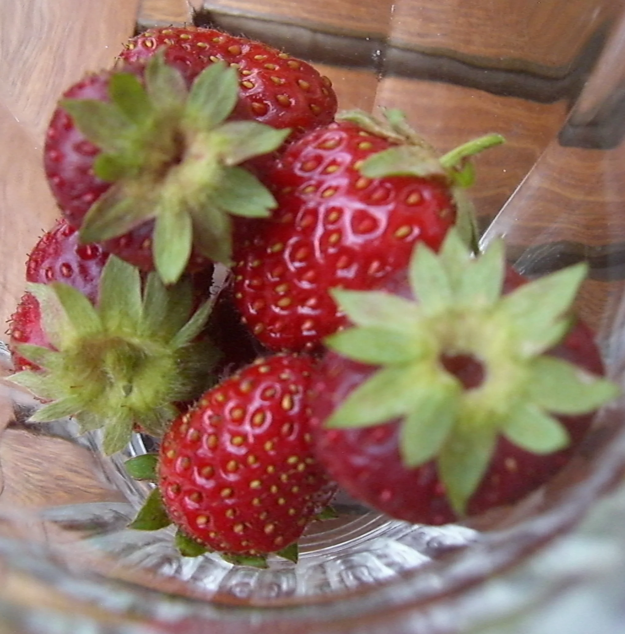 Terrace Strawberries