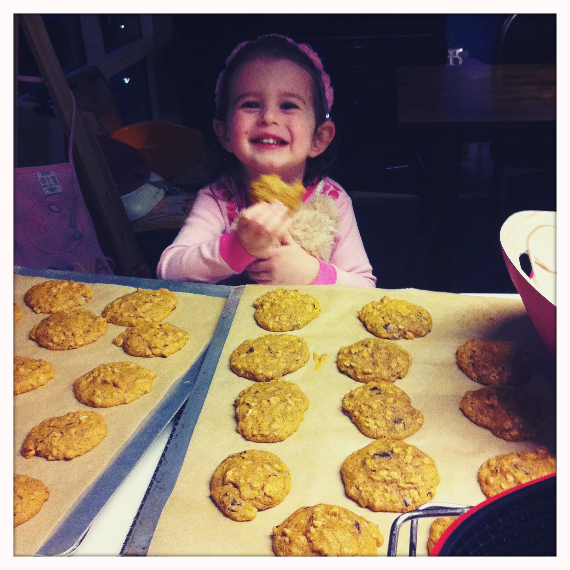 Updated Vegan Pumpkin Oat Chocolate Chunk Cookies