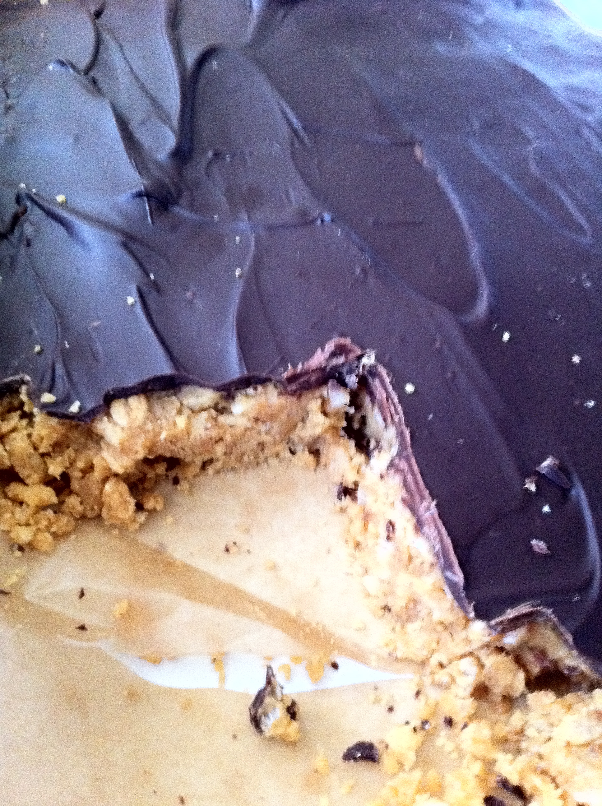 Vegan Peanut Butter and Chocolate Bars