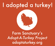 Victoria is our turkey!