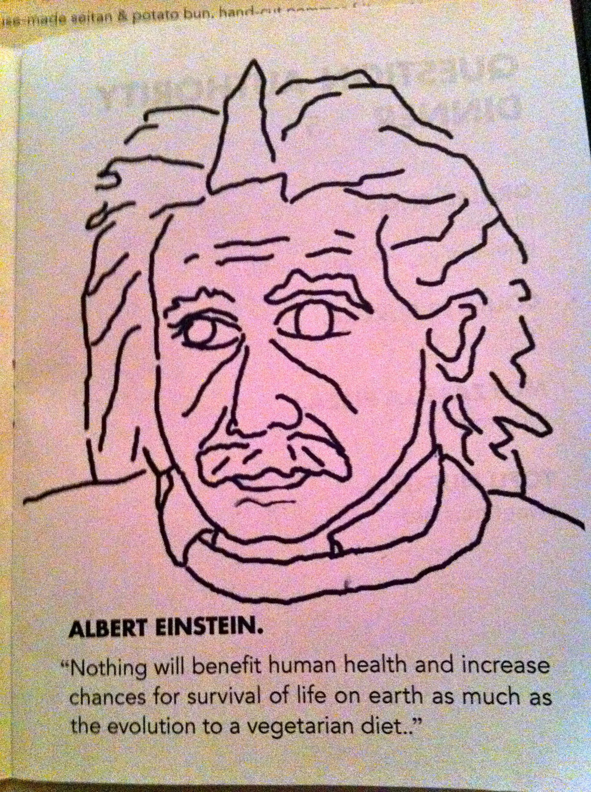 Was Einstein a Vegan or Vegetarian?