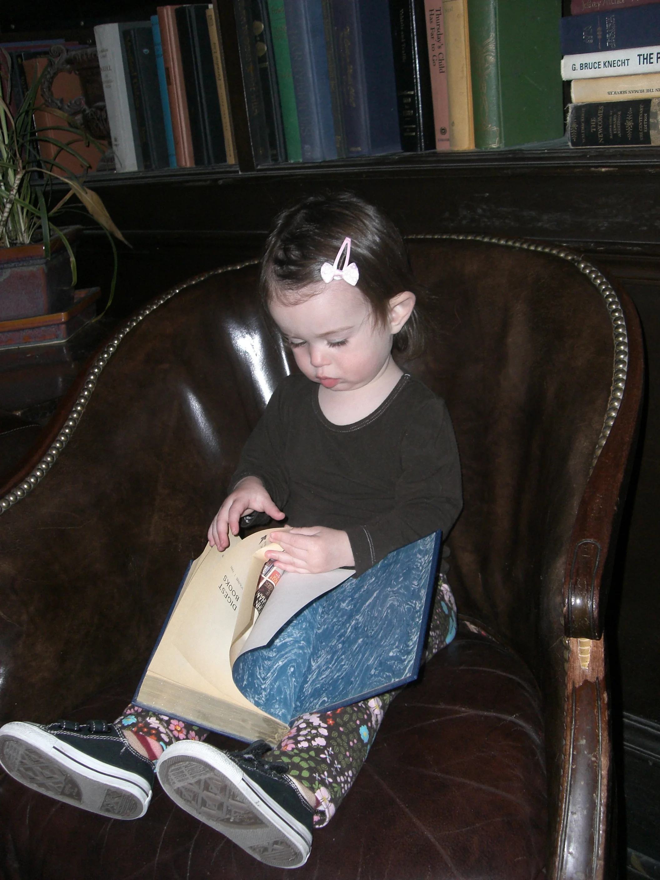 Love Life and Lollipops- Avi Reading in Union Hall Library