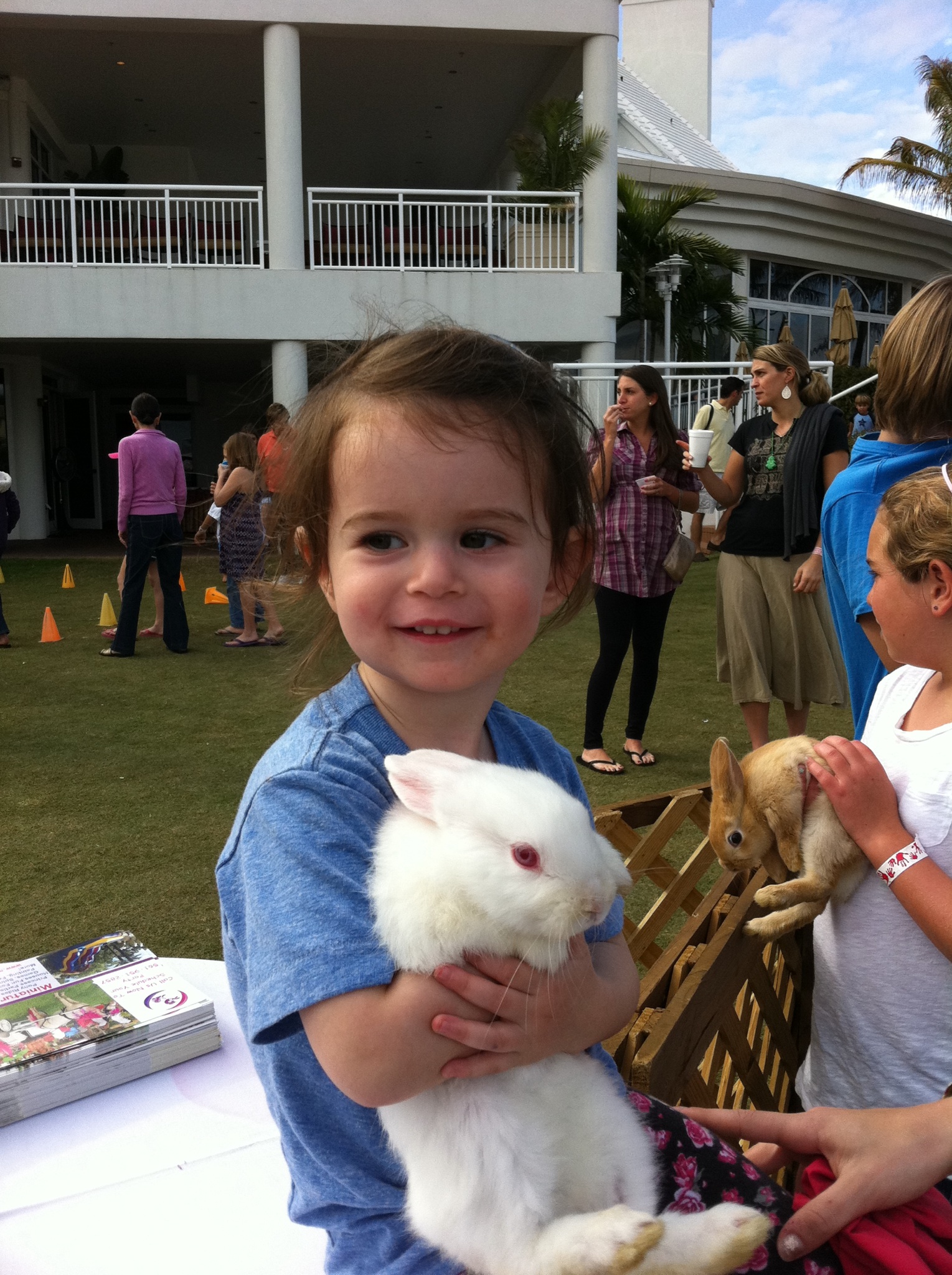 Love Life and Lollipops- Avi and the Baby Bunny