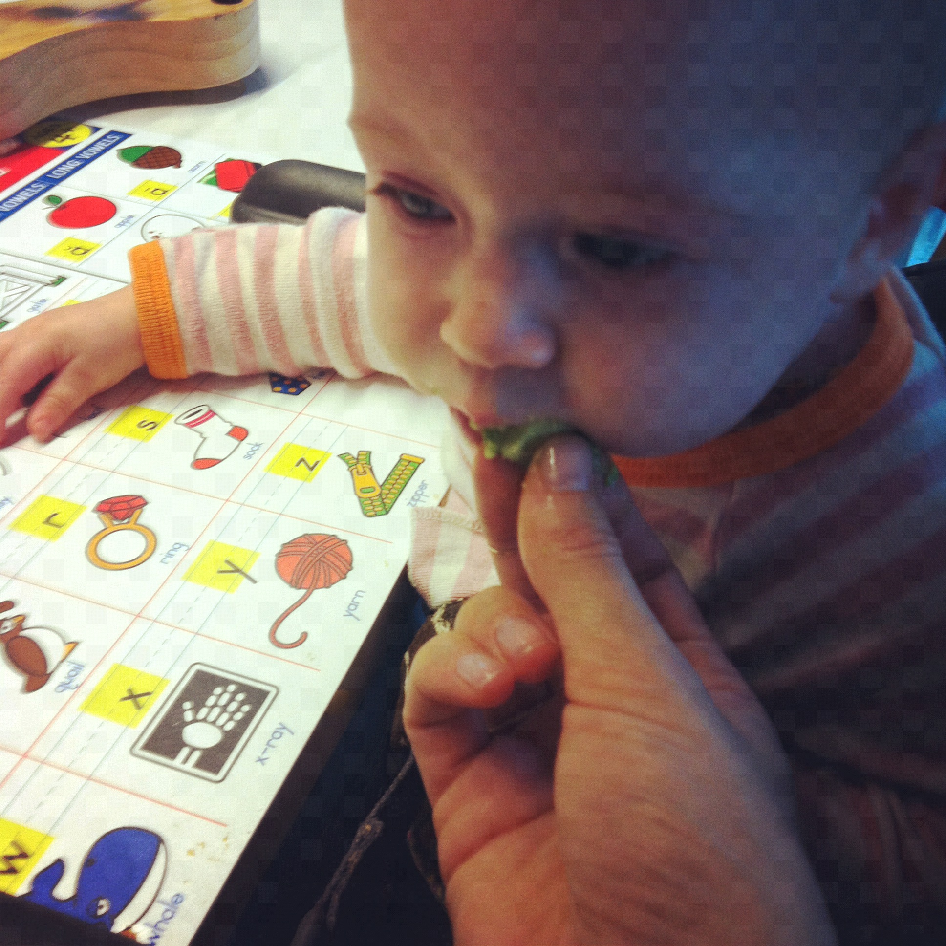 Love Life and Lollipops- Baby Bar eating avocado