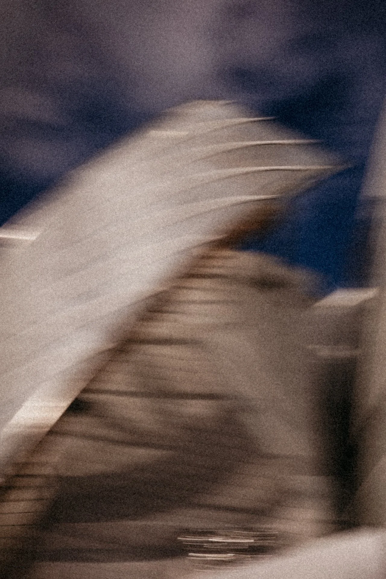 web_2026-01-25 PARIJS-21.jpg