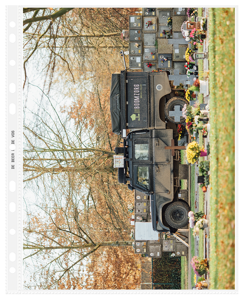 WEBSITE-DBDV-THUMB.png