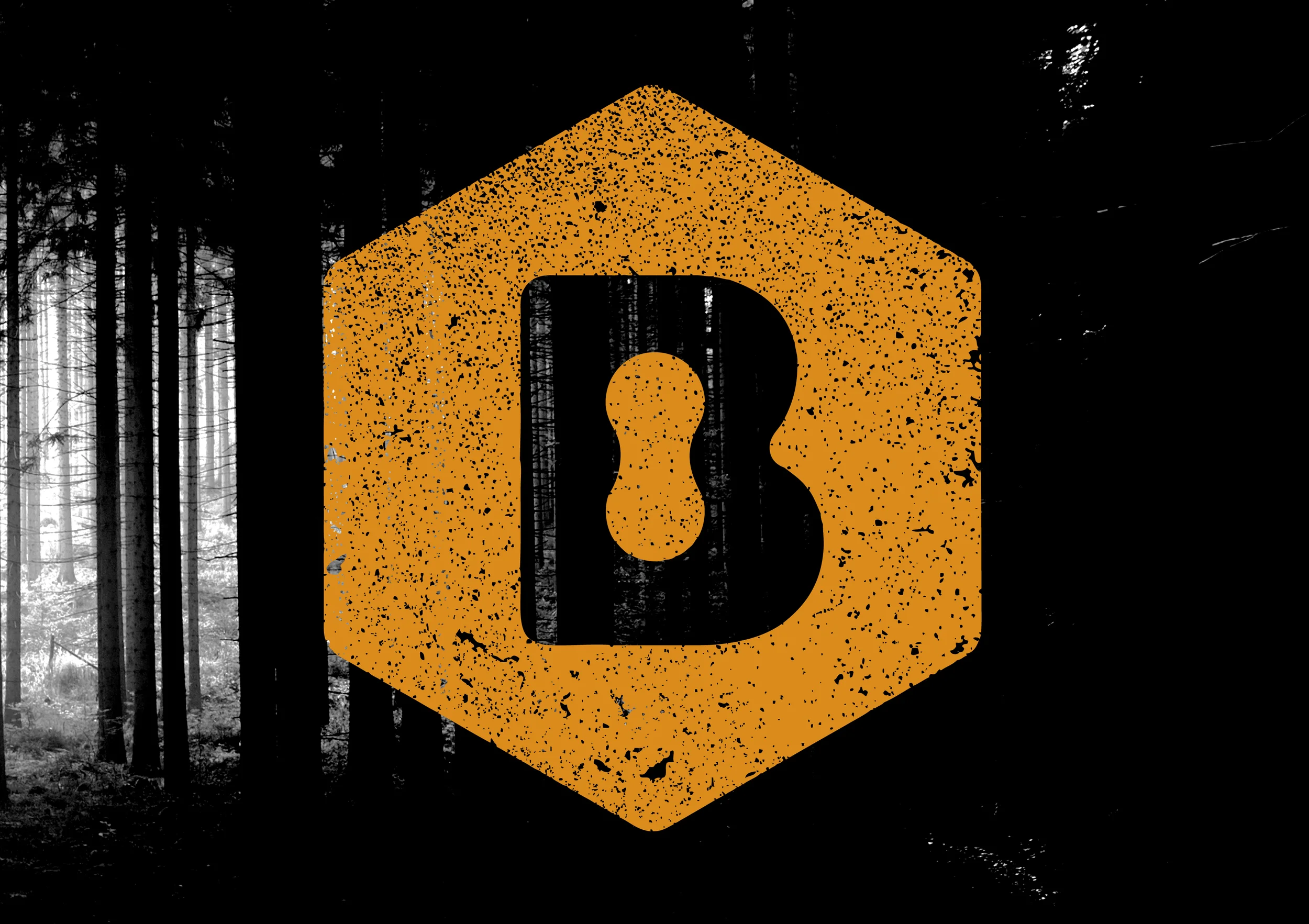 Beechwood-10.jpg