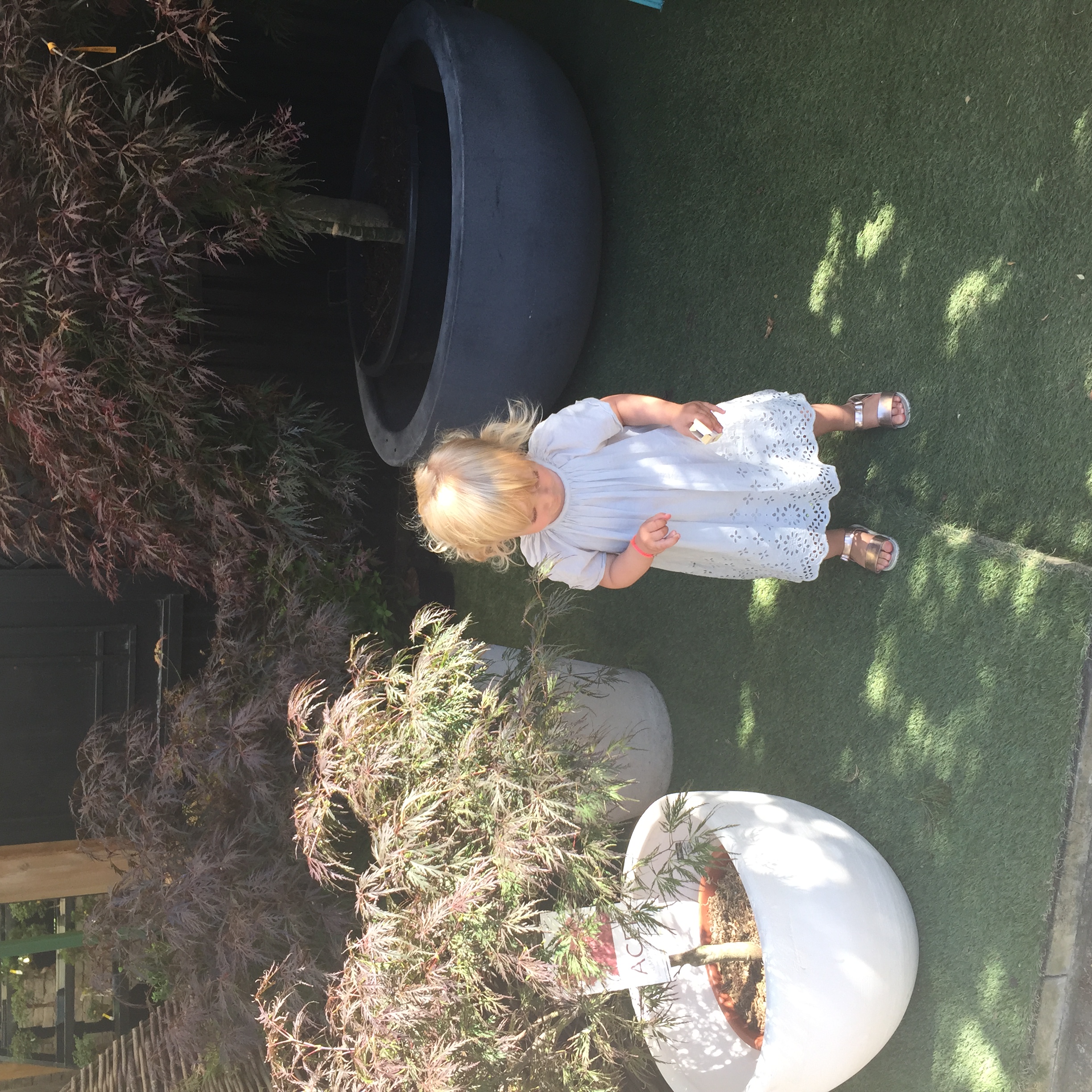 Stella amongst fabulous Japanes mapple trees...