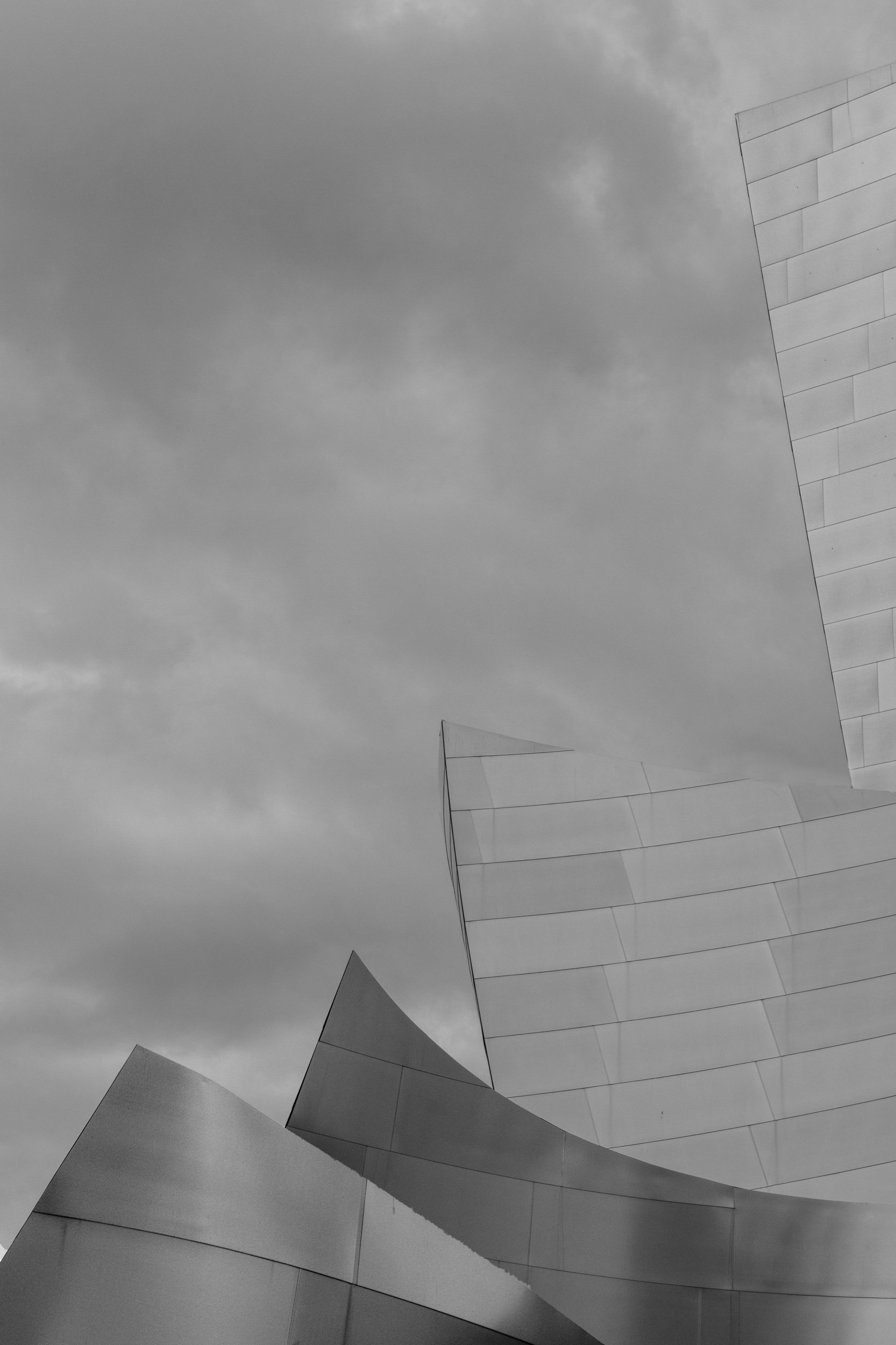 _DSC0311.jpeg