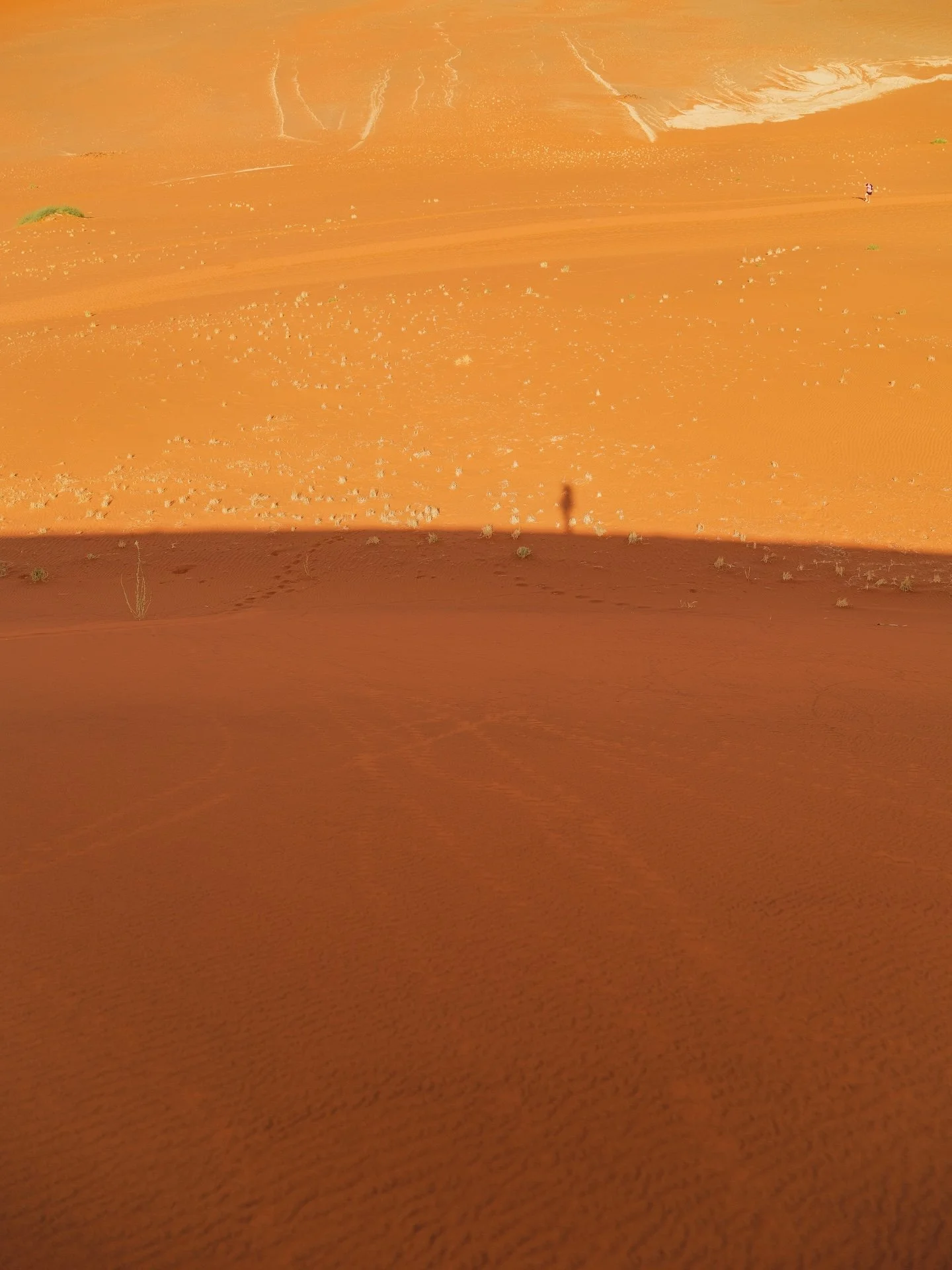 DSCF4669.JPG