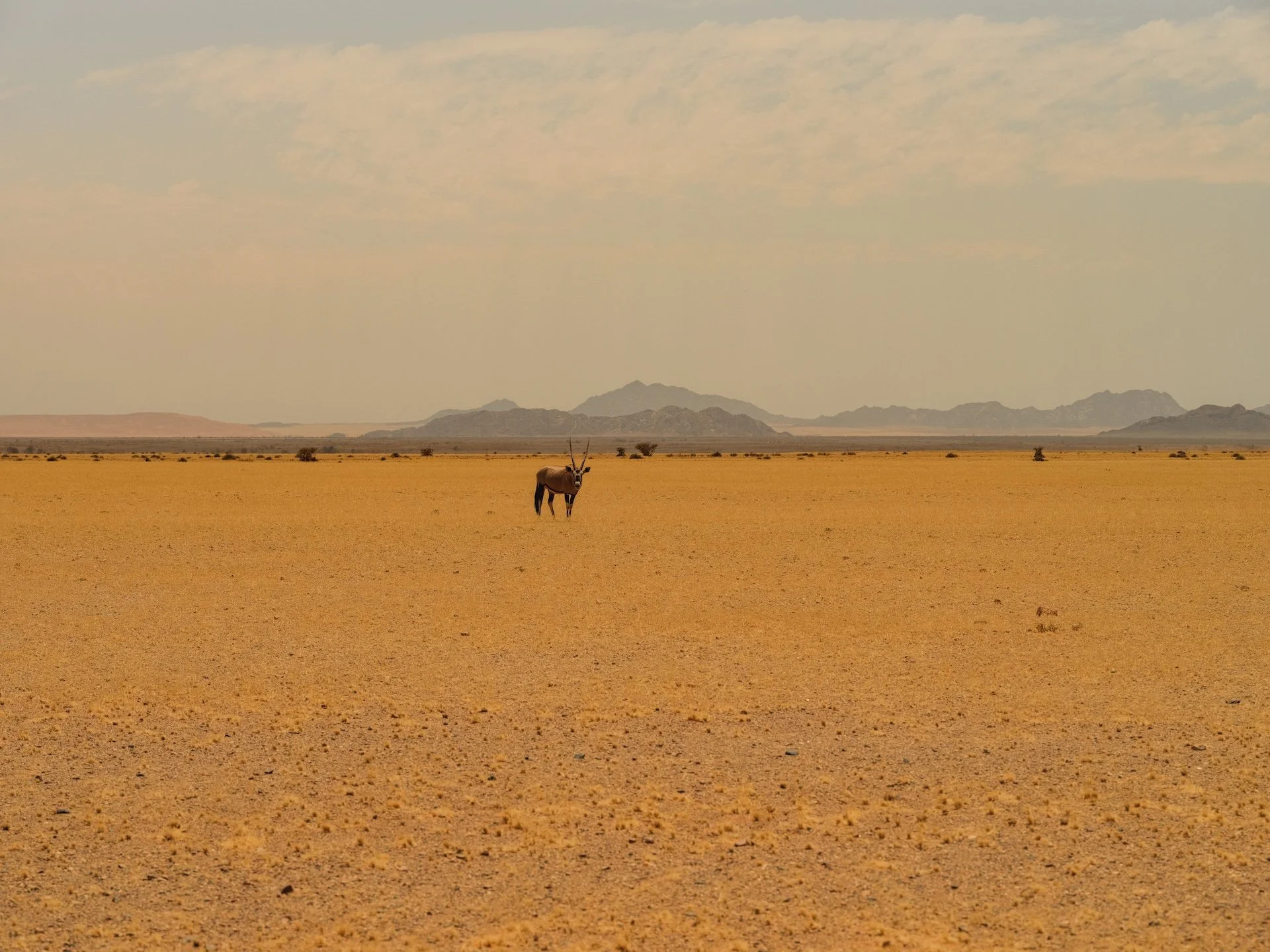 DSCF4803.JPG