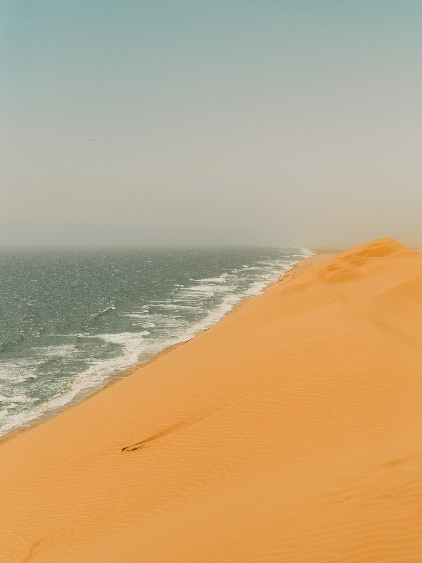 DSCF5191.JPG