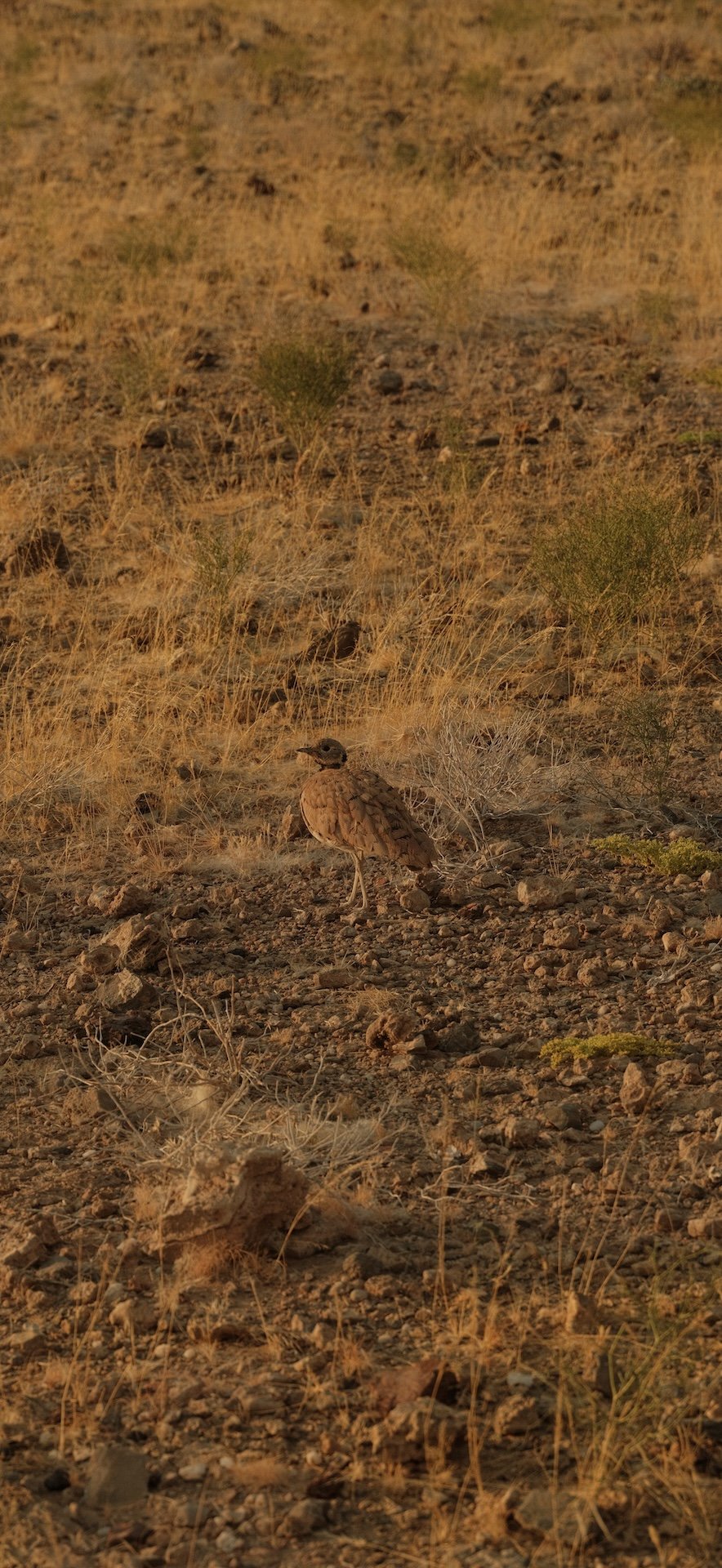 DSCF5322.JPG