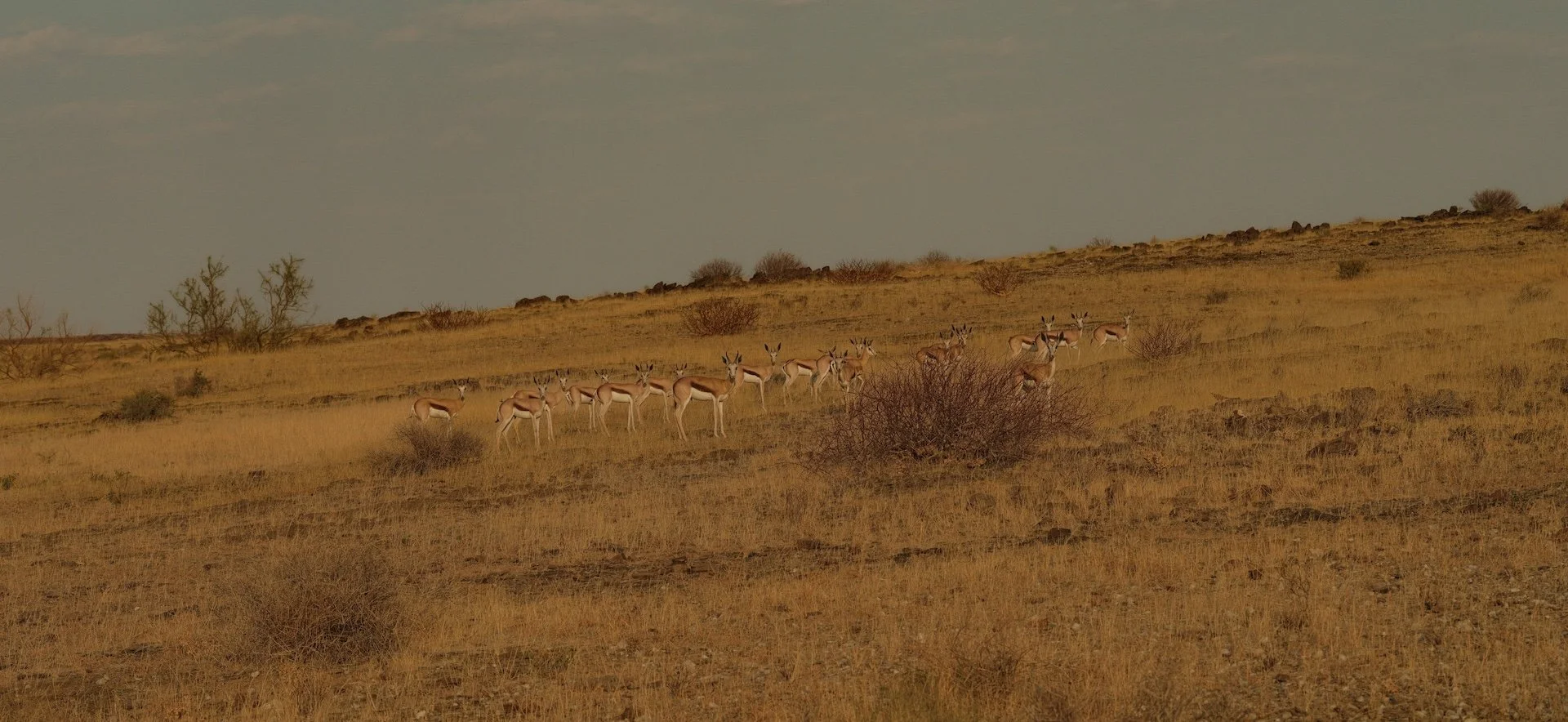 DSCF5325.JPG